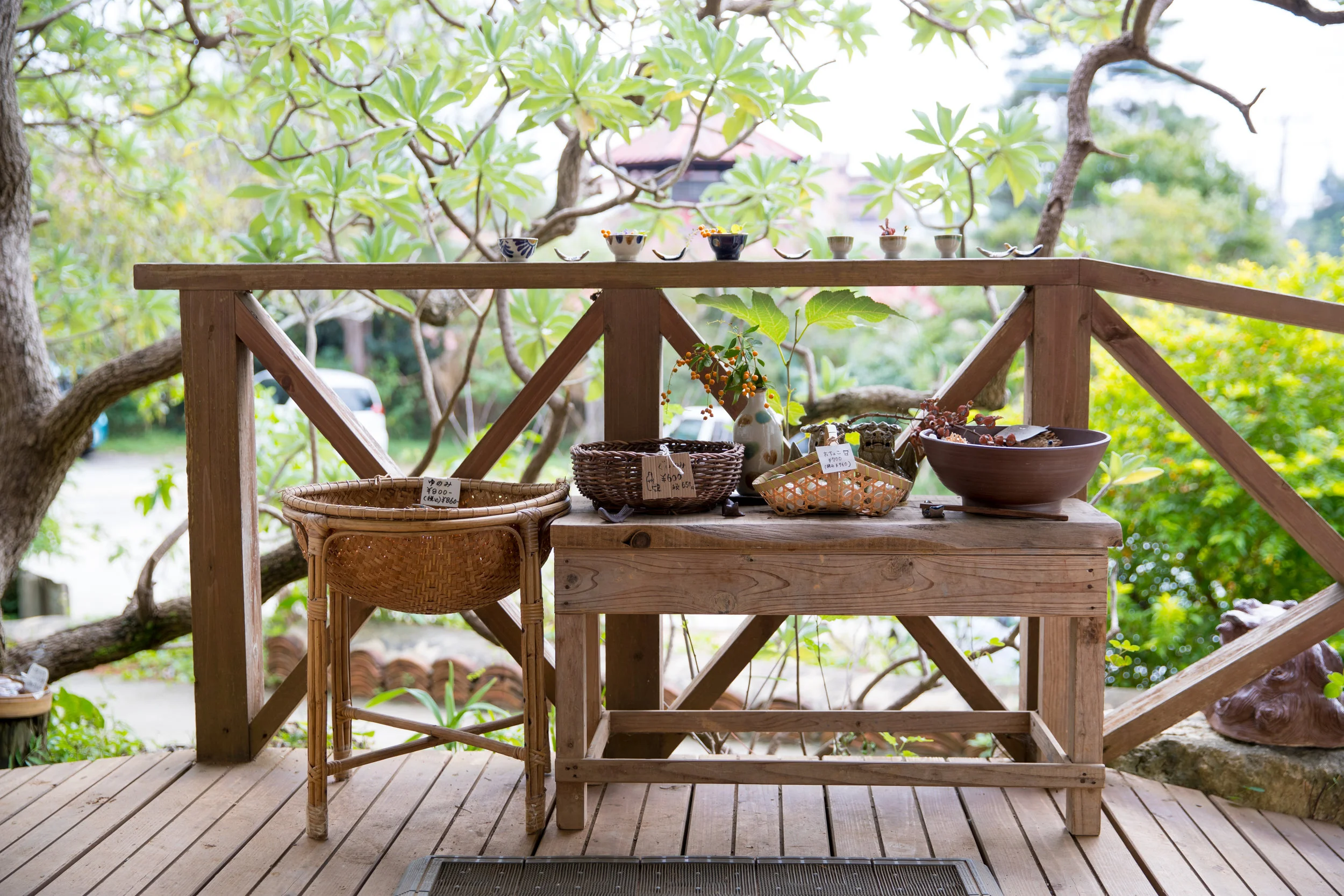 deck patio wood plants spring.jpeg
