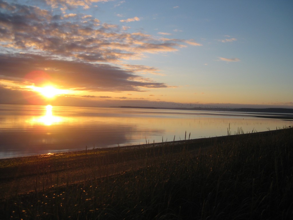 Photo courtesy of the Olympic Rain Shadow Blog