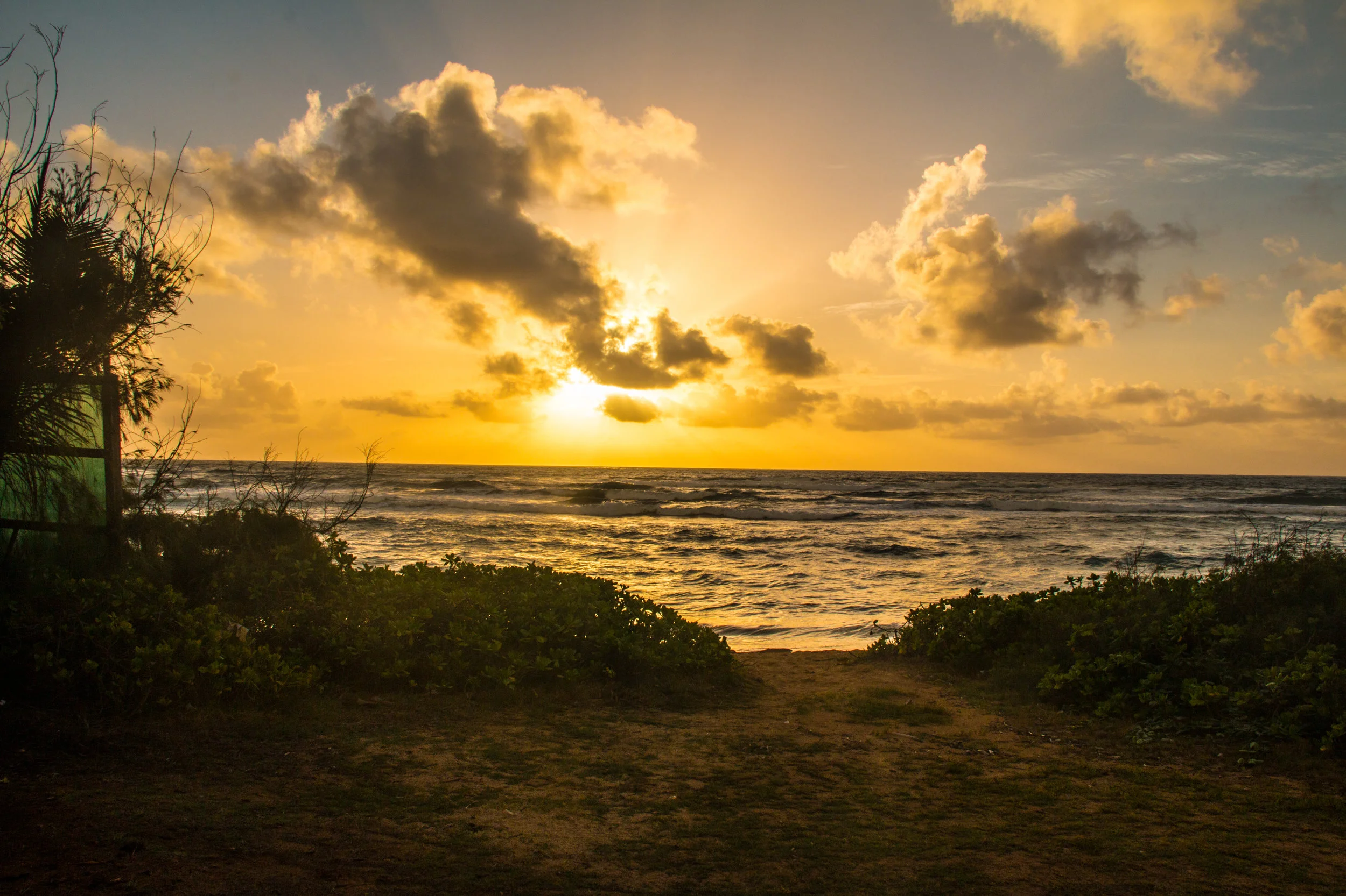 Kauai 2016-63.jpg