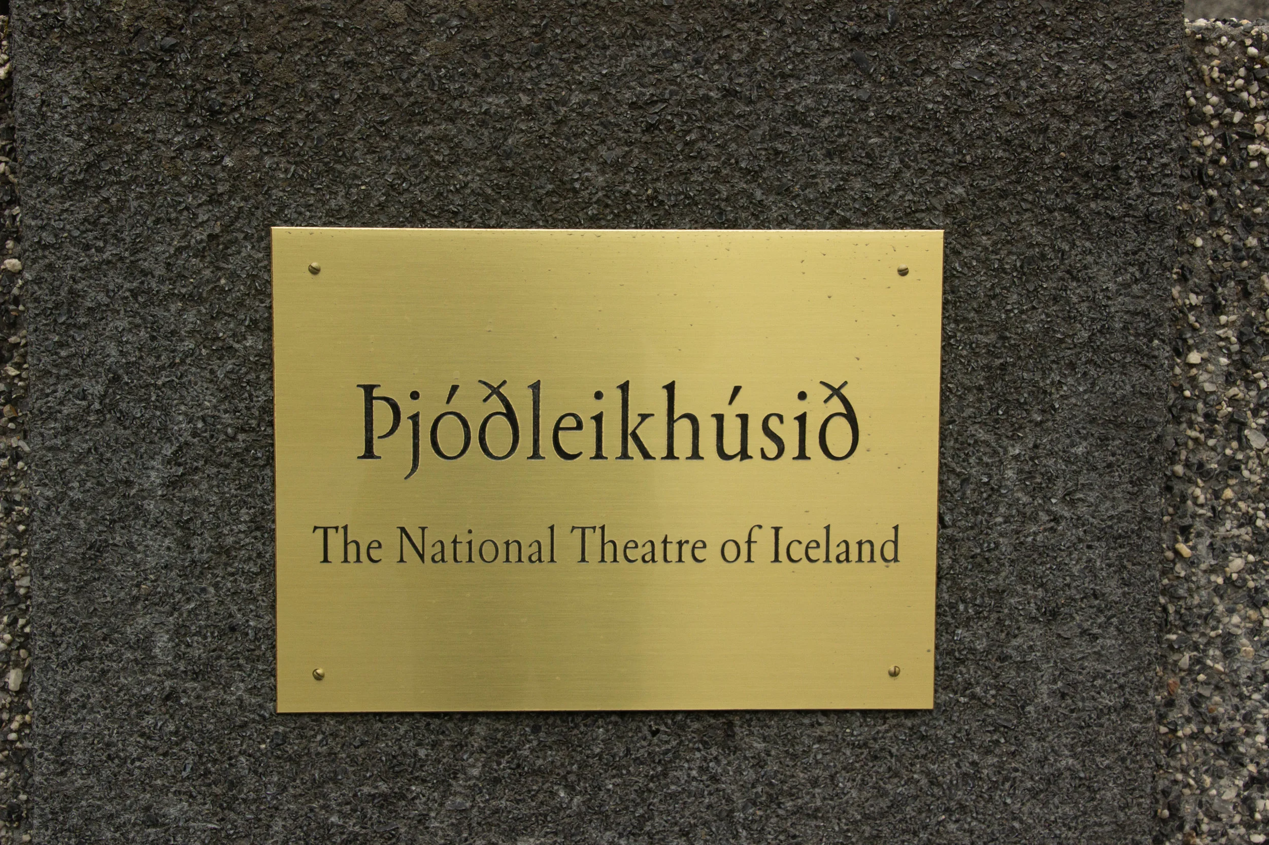 Iceland SS.goup 2-1.jpg