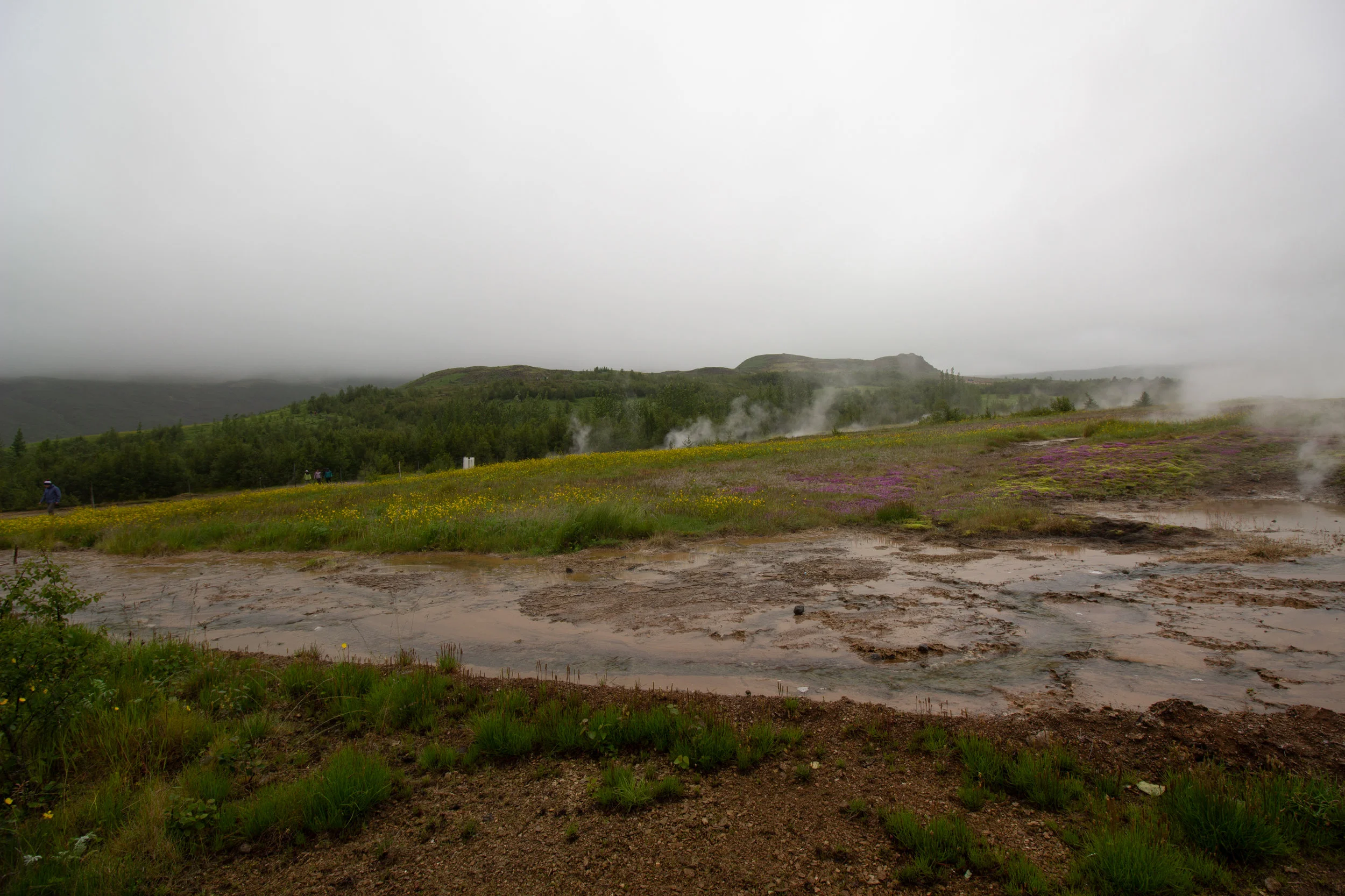 Iceland SS.goup 2-29.jpg