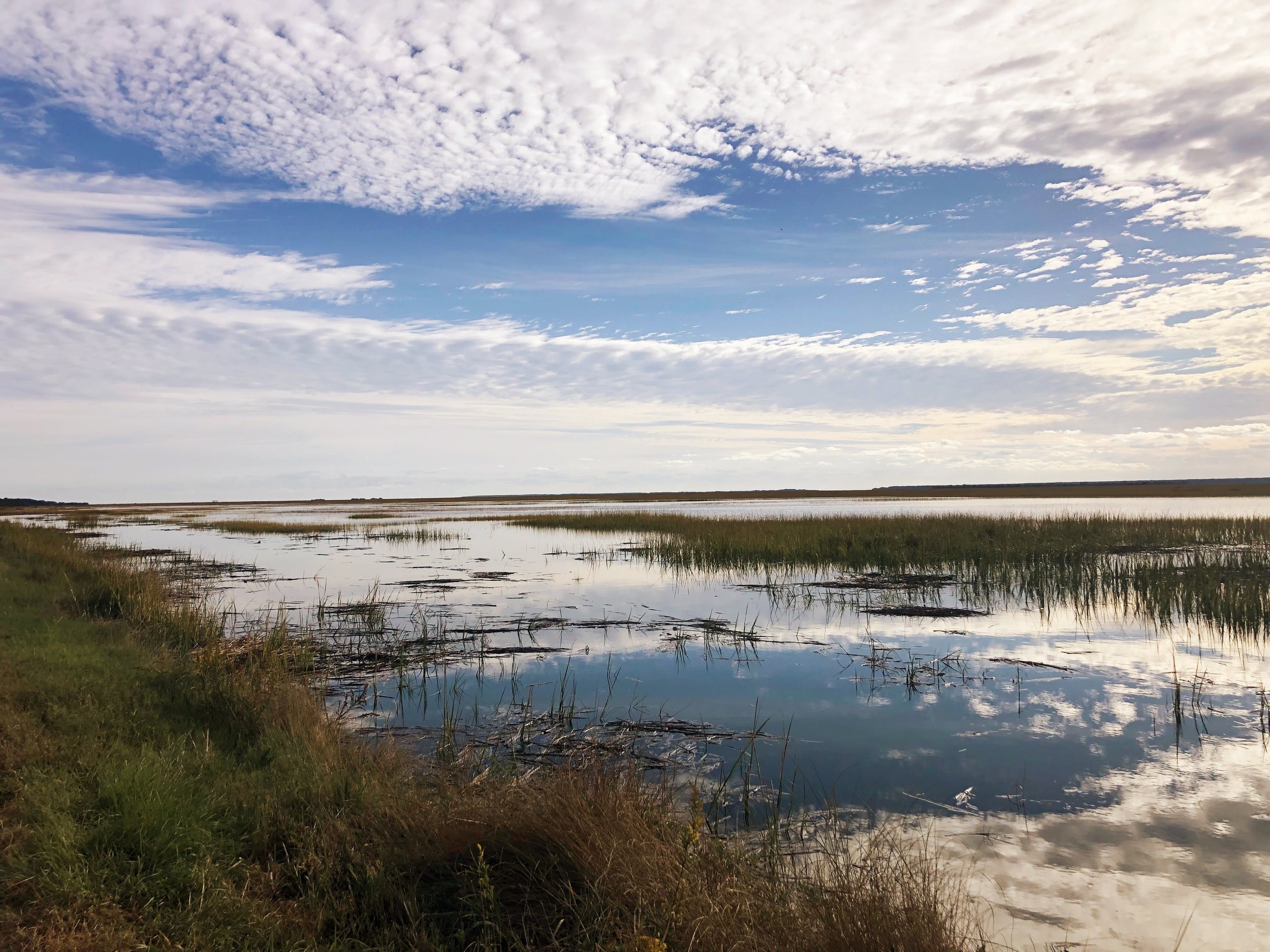 Saltwater Sound Views in Charleston, South Carolina