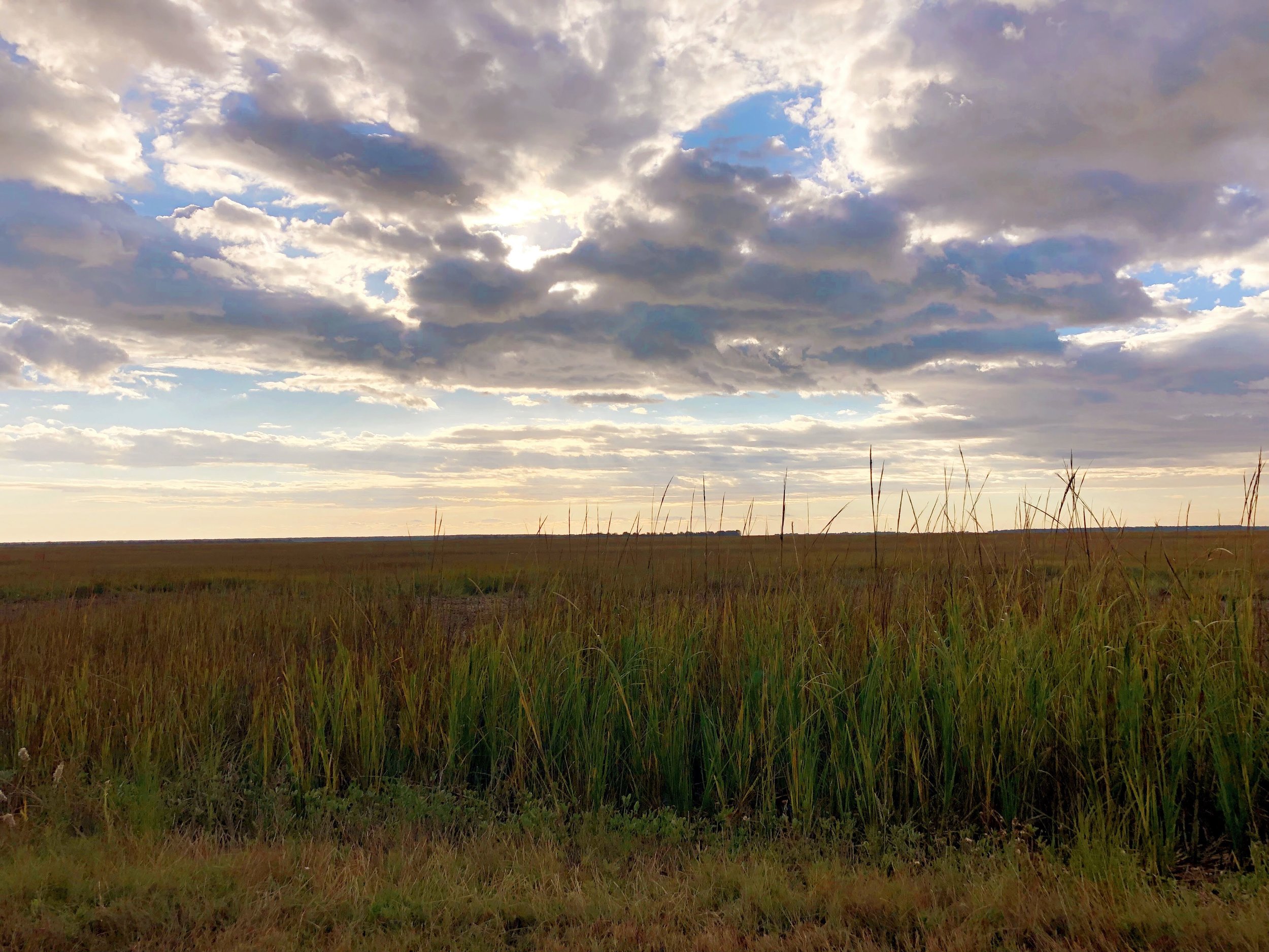 Charleston Saltwater Views