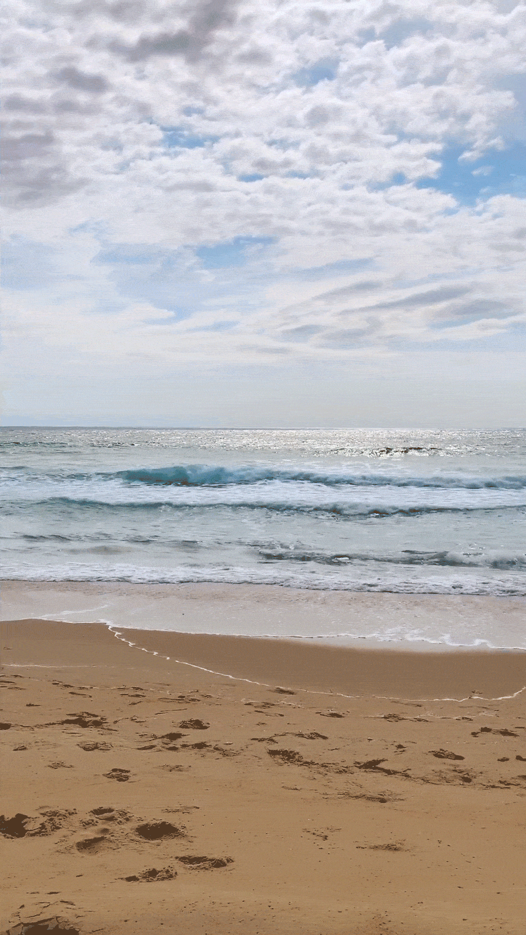 Waves-optimized.gif