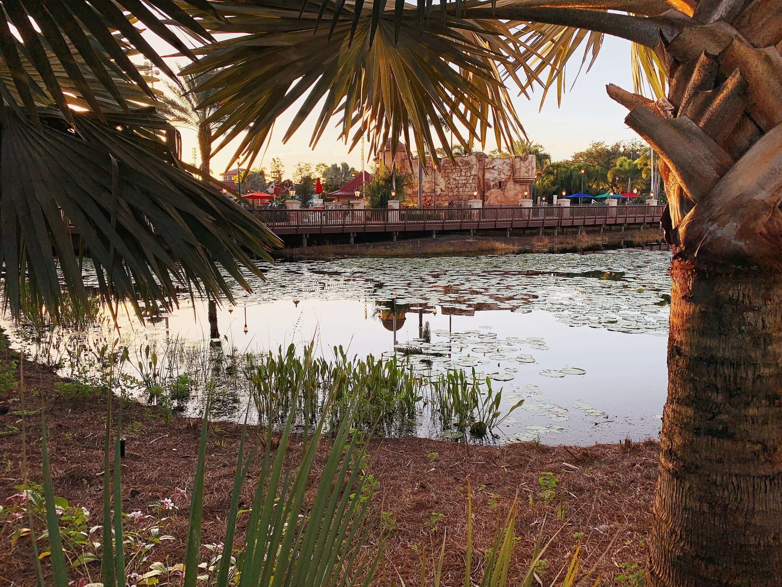 Disney's Caribbean Beach Resort