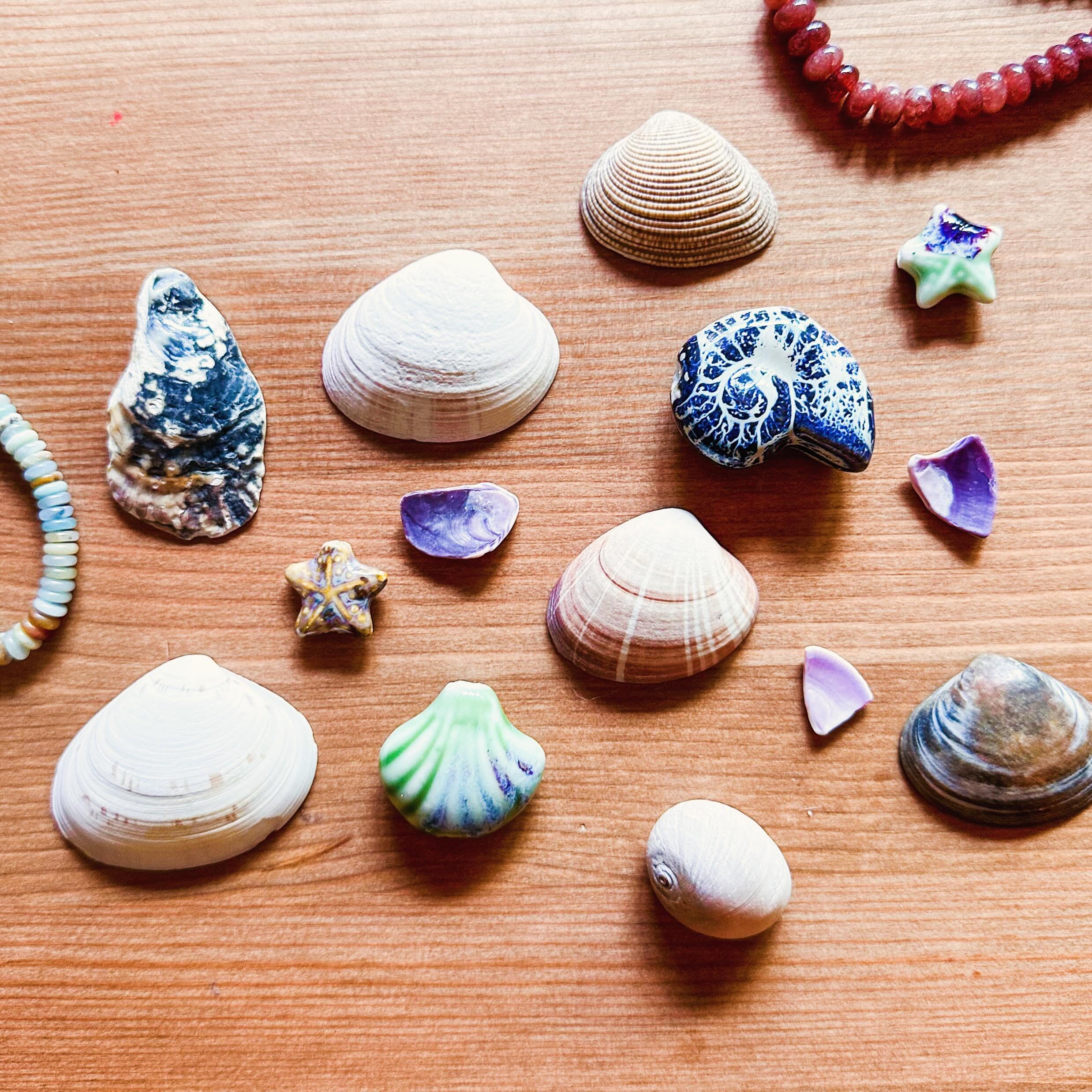 Shells

#shesellsseashells #shelljewelry #shellart #designlife #jewelrydesign #handmadejewelry