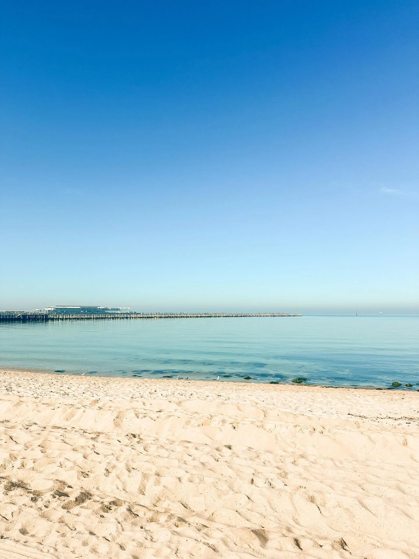 Sunrise, sunset. Late winter days along the coast just starting to hint at spring.

#melbournelife #somelbourne #coastalliving #coastallife #ocean #blueskies