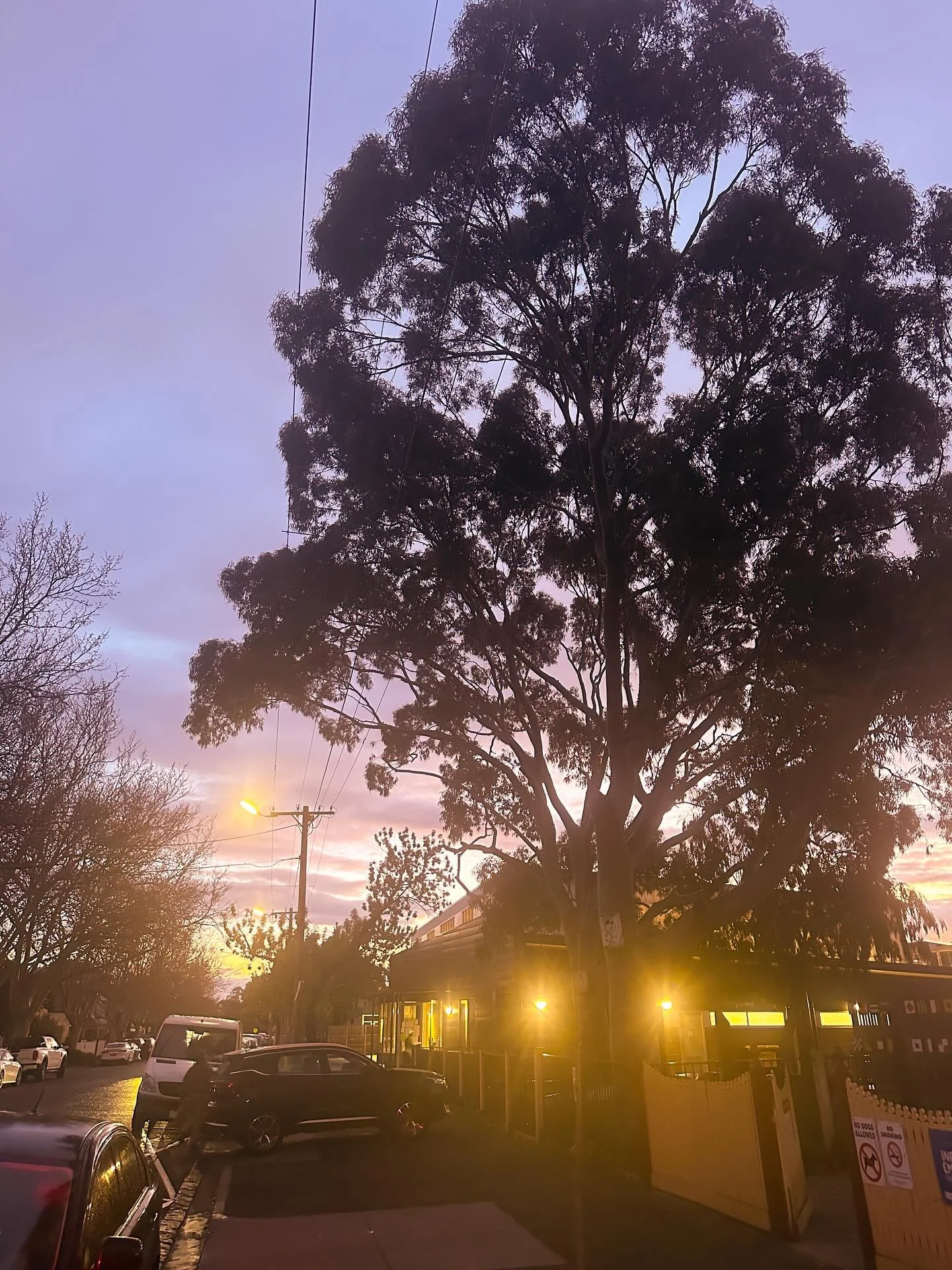 It&rsquo;s spring here but the sky has spooky season autumn vibes last night. I miss fall Halloweens. It really doesn&rsquo;t hit the same without all the other fall things. 

#thisishalloween #springinmelbourne #halloweenskies #somelbourne #coastall