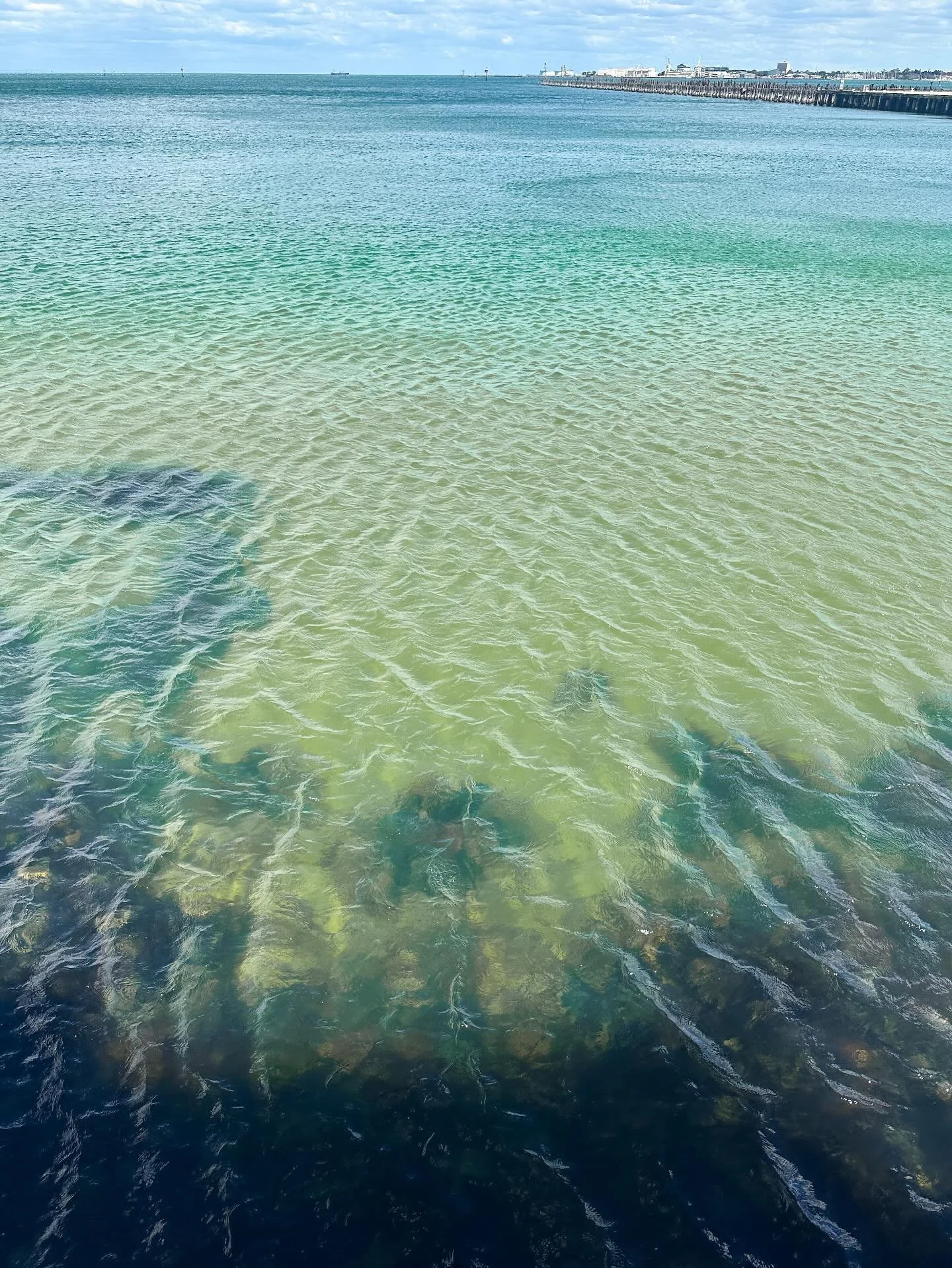 Ripples

#oceanlife #raywatch #melbournelife #coastalliving #oceanview