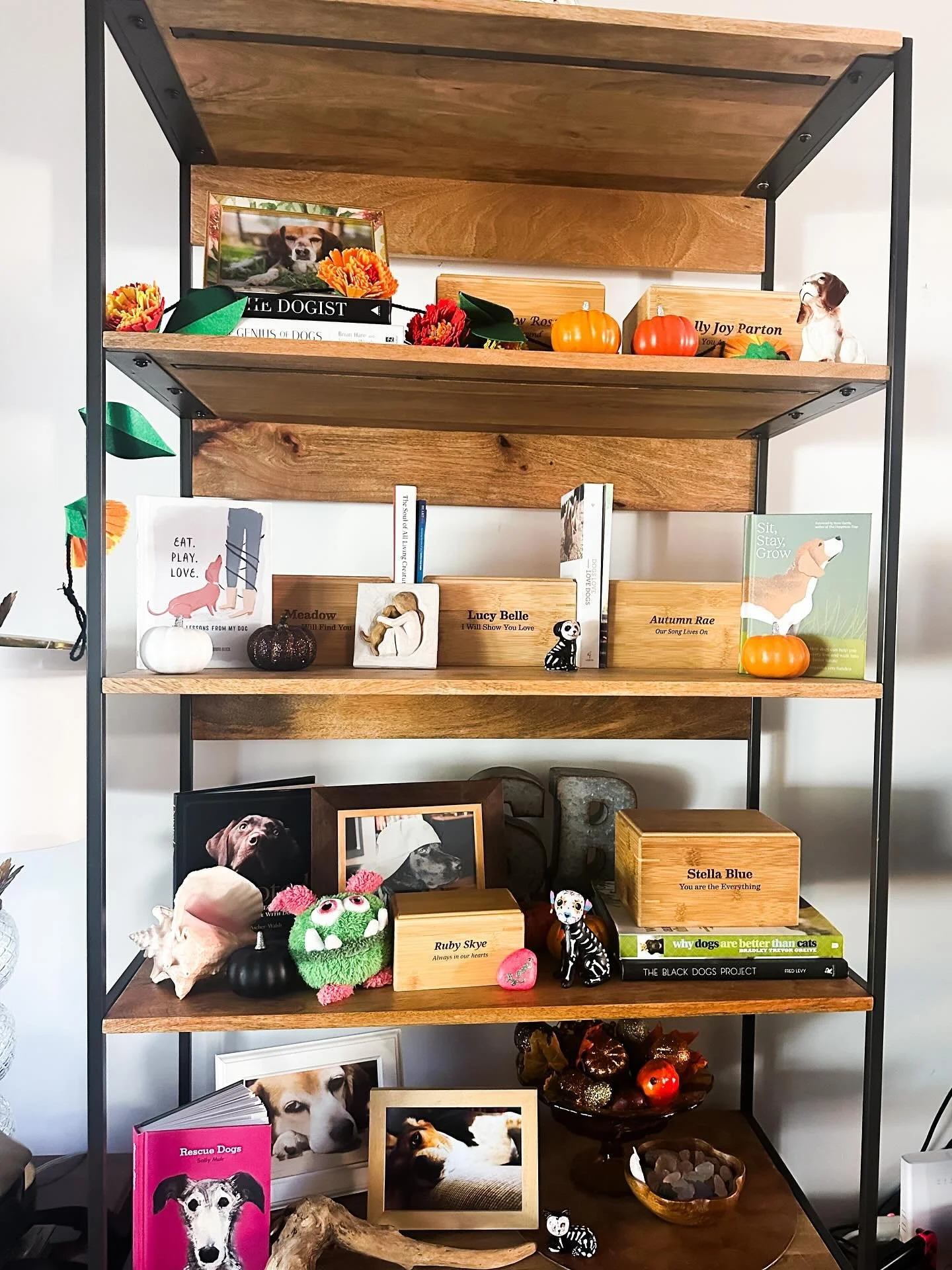 I find D&iacute;a de los Muertos such a beautiful celebration of memory and love. Inspired by its spirit, I&rsquo;ve created a spot for the 7 precious dog souls from my life who&rsquo;ve crossed the rainbow bridge. I hope they stop by for a visit tod