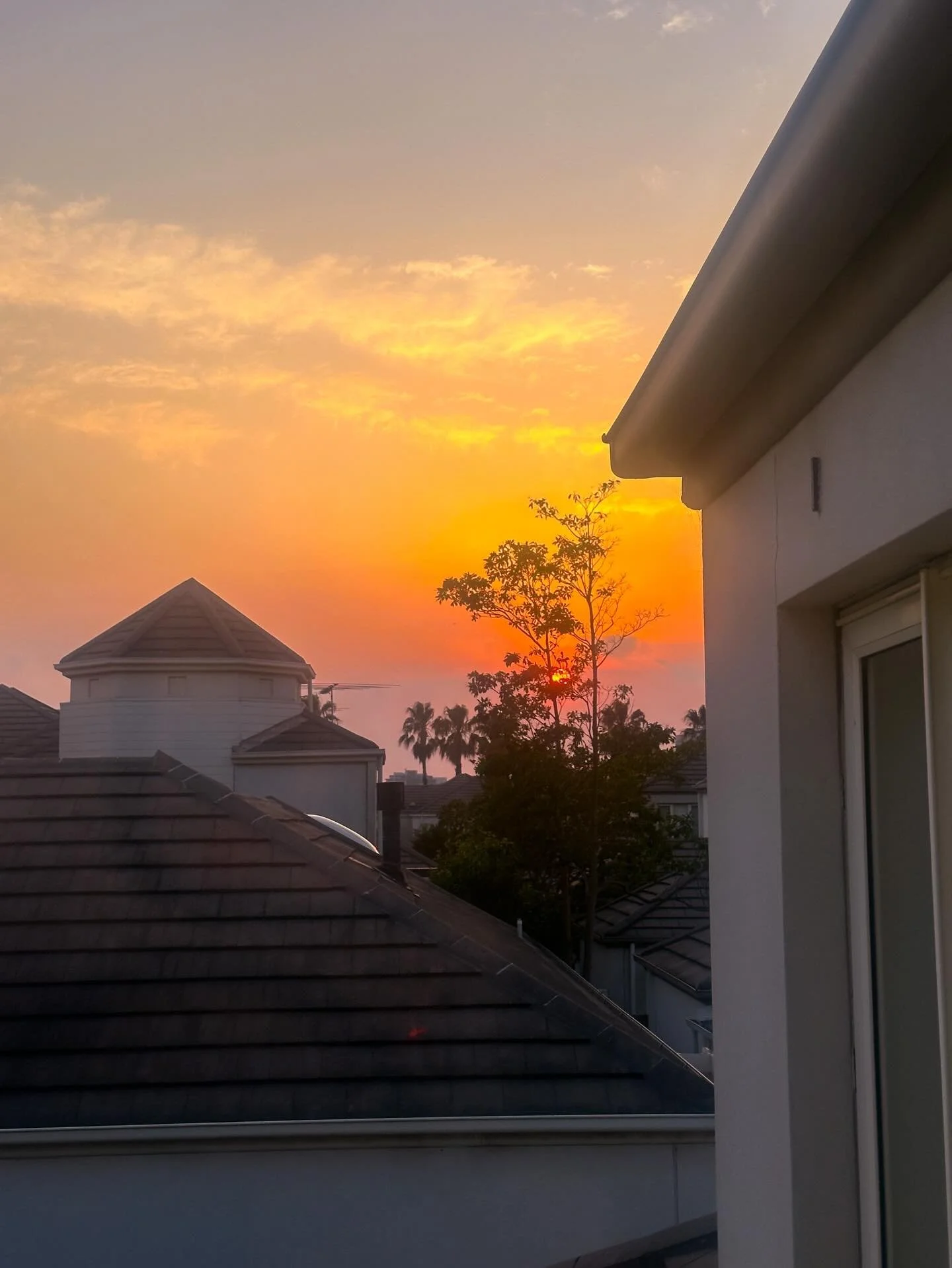 Bushfire smoke blanketing Melbourne today

#melbourne #melbournesummer