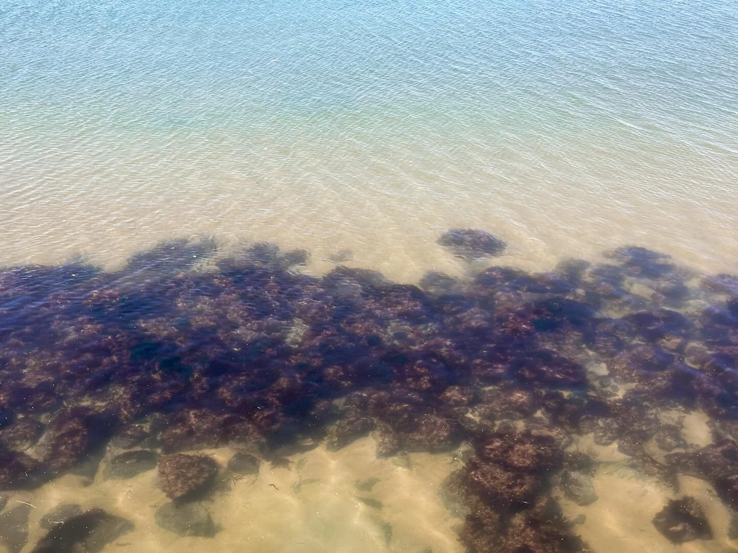 Calm, clear summer waters

#beachlife #beach #coastalliving #saltair