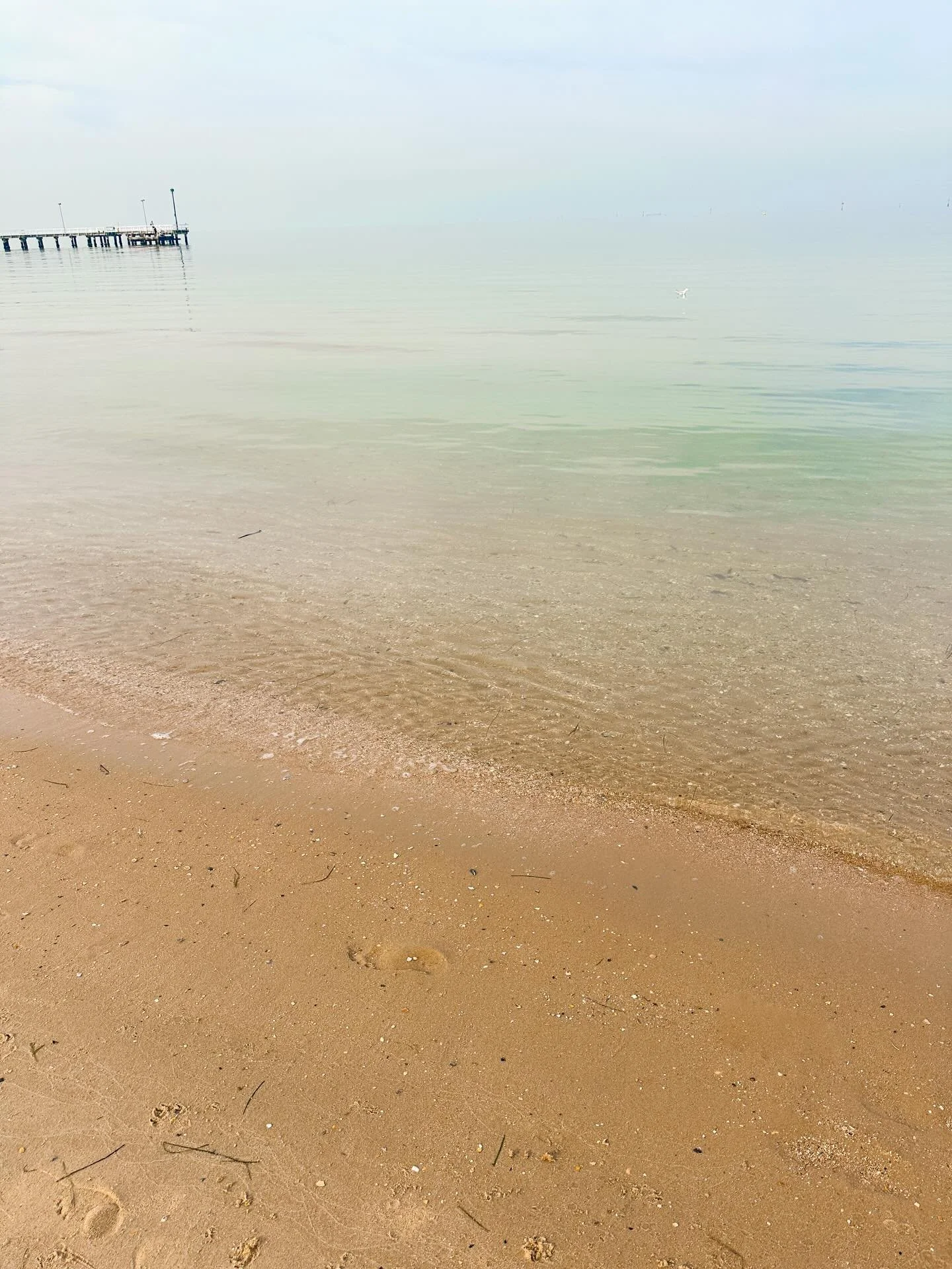 Hazy early autumn morning. My favorite time of year because it still feels like summer, but there&rsquo;s a bit of change in the air. Not exactly October in Charleston (forever my favorite), but March in Melbourne is pretty sweet.
#coastalliving #coa