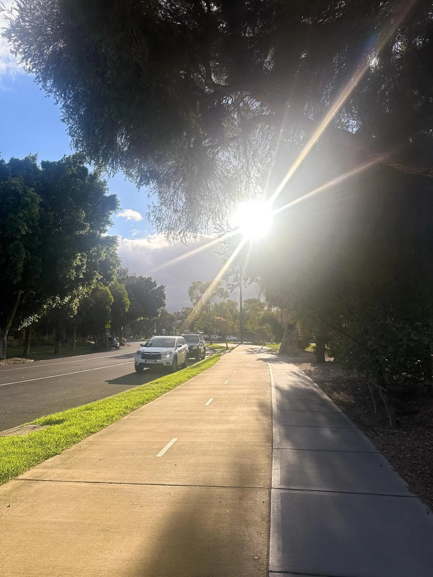 Autumn light is magic. My favorite months of the year in Charleston were always August, September, and October. Here in Melbourne, where the seasons are upside down (or right side up, depending on how you view it, your own lived experience), it&rsquo