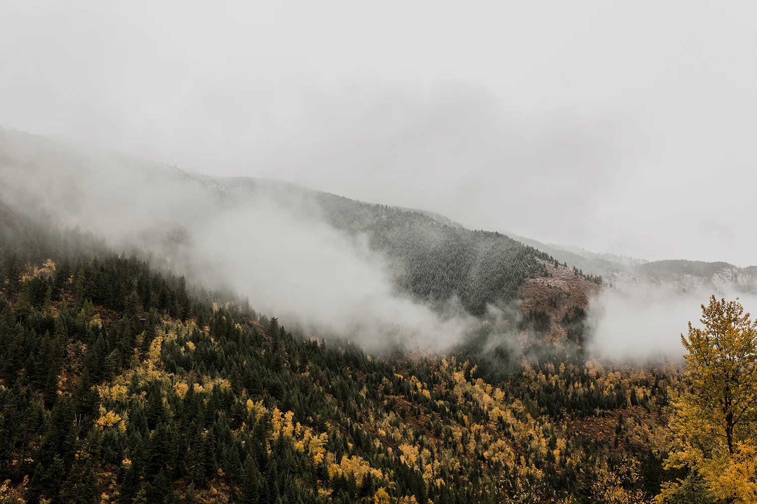 GNPLandscapes38_Print.jpg