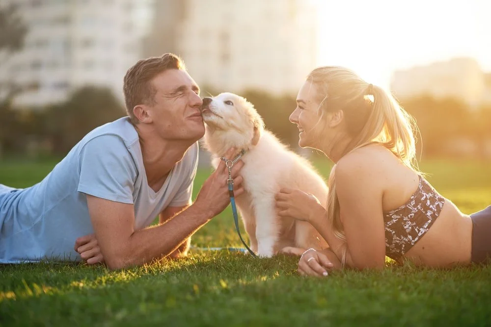 Which Denver Are You In? What Your Neighbourhood Reveals About How You Date