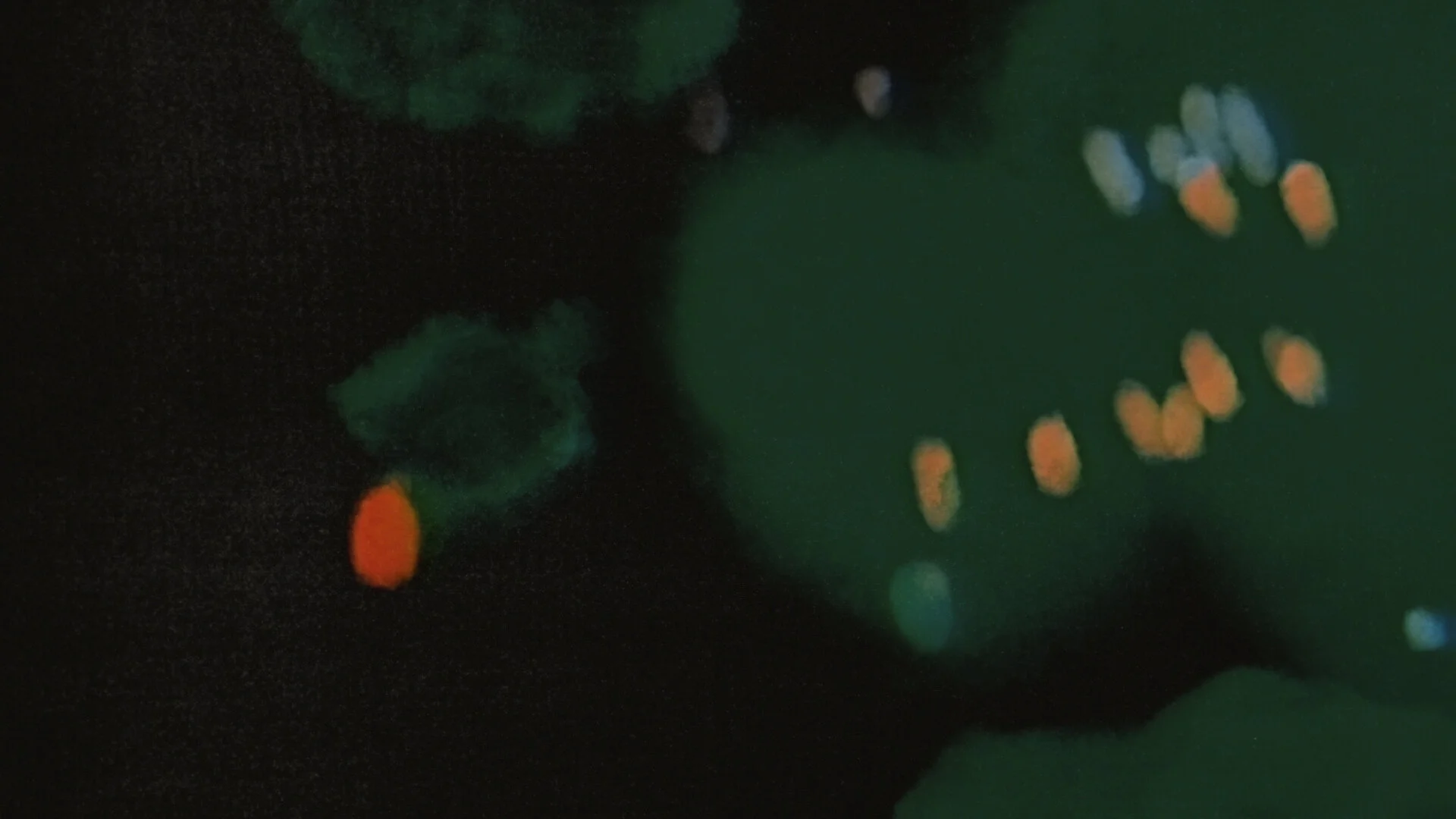 Django_Uncompressed_12fps 2 (0-03-00-02).jpg