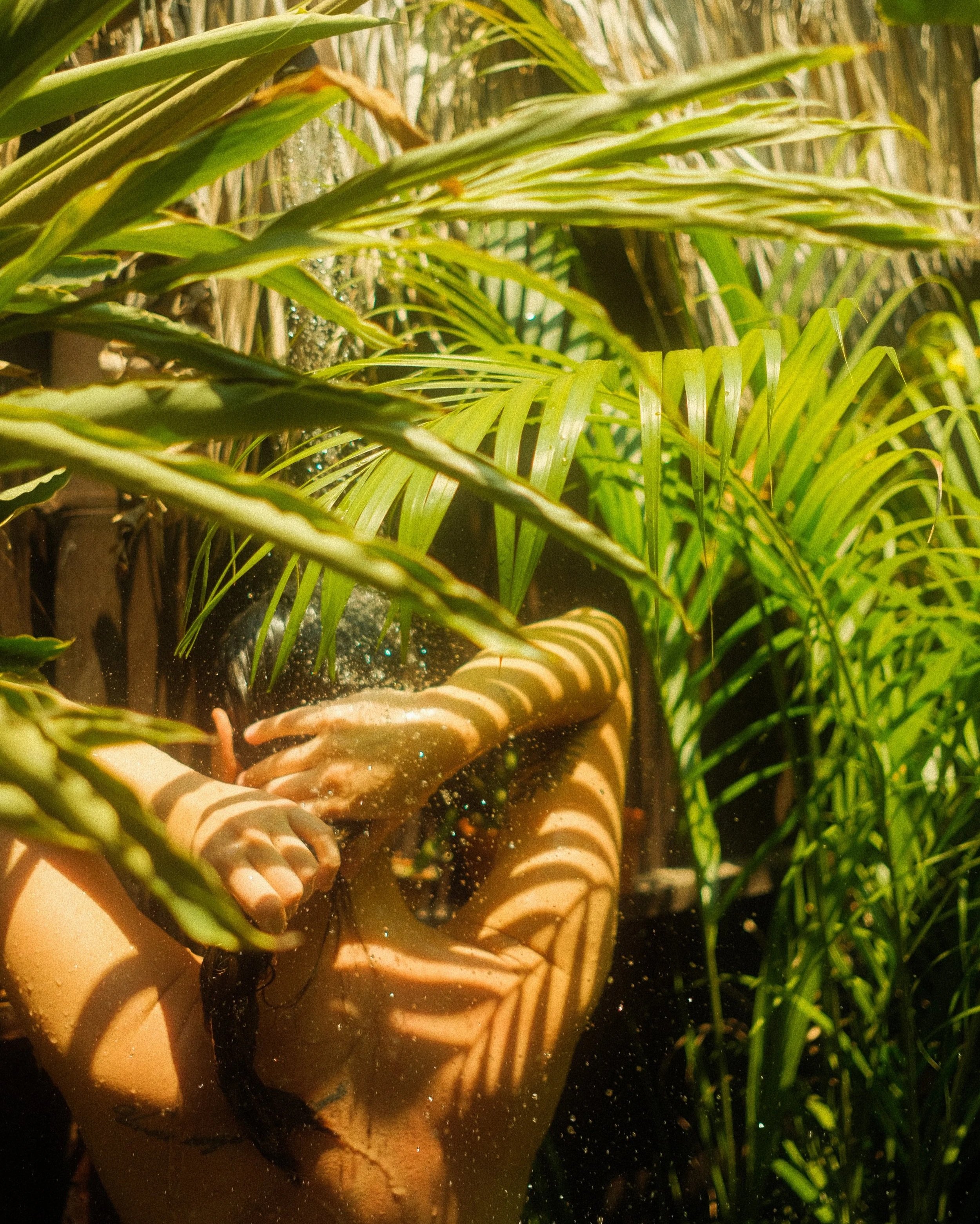 A clay pot with a lush arrangement of tropical green plants. Sunlight casts shadows of the leaves onto the pot, creating a vibrant, natural scene.