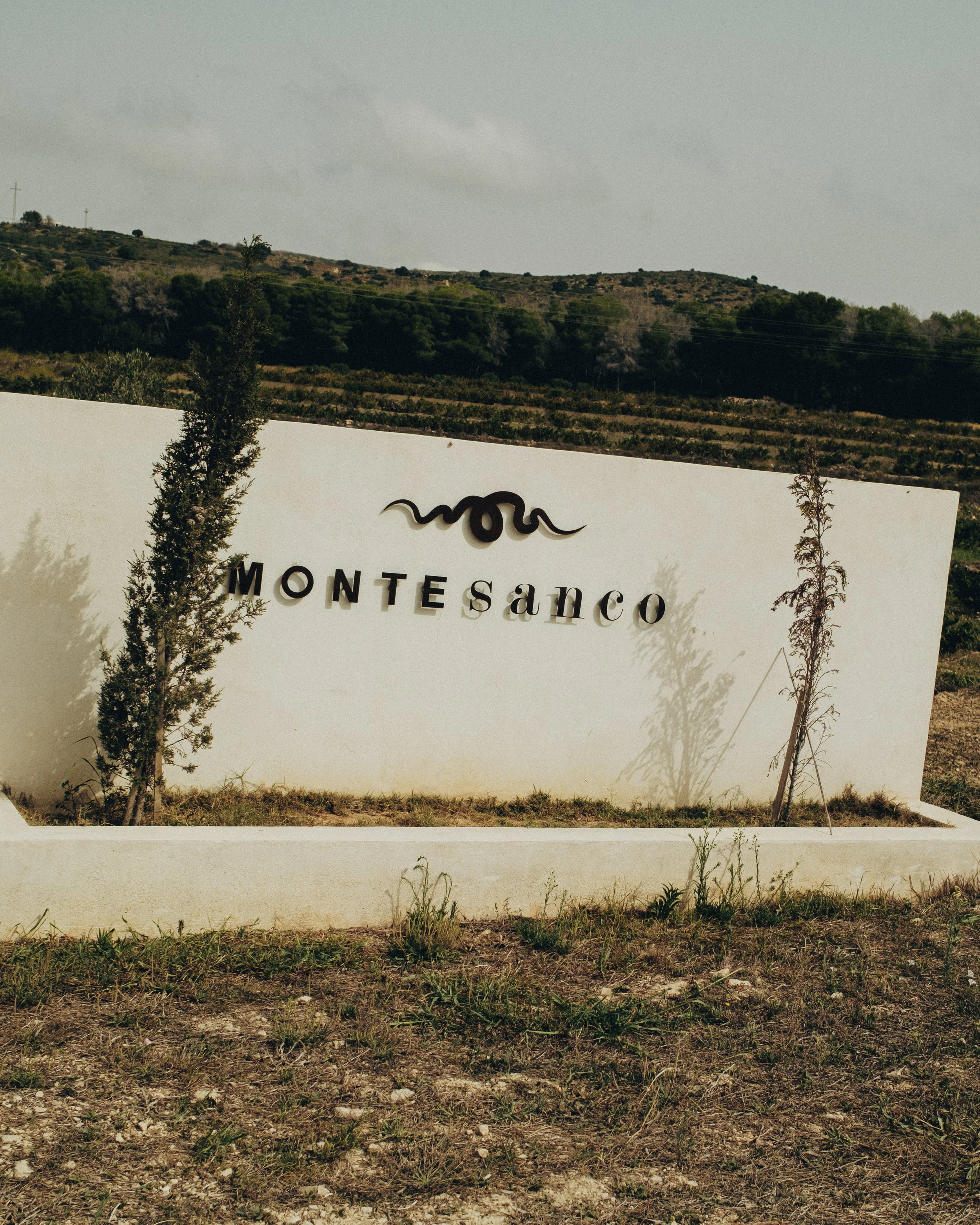 A white modern sign with the words 'Montesanco' and stylized logo, placed in a grassy area with small trees in the foreground, hills in the background, under a cloudy sky.