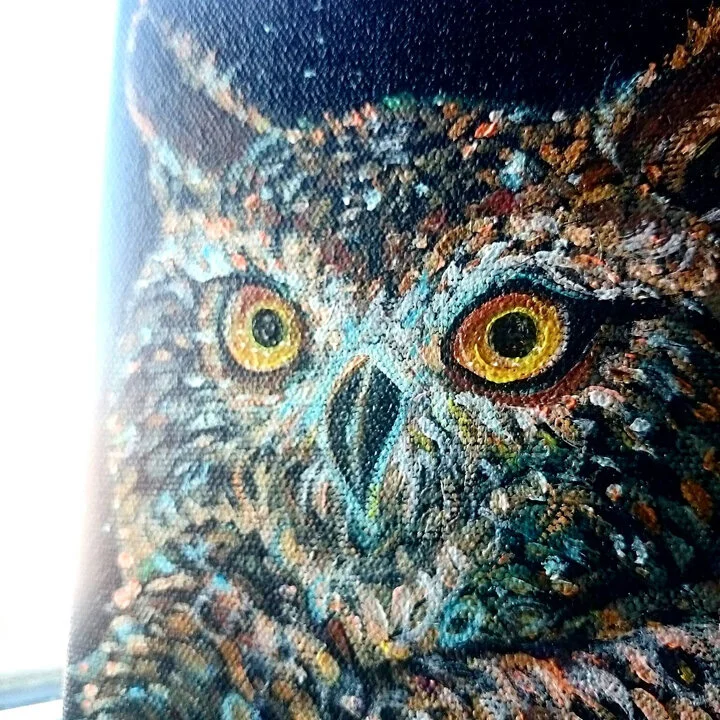 Intentlyowldetail.jpg