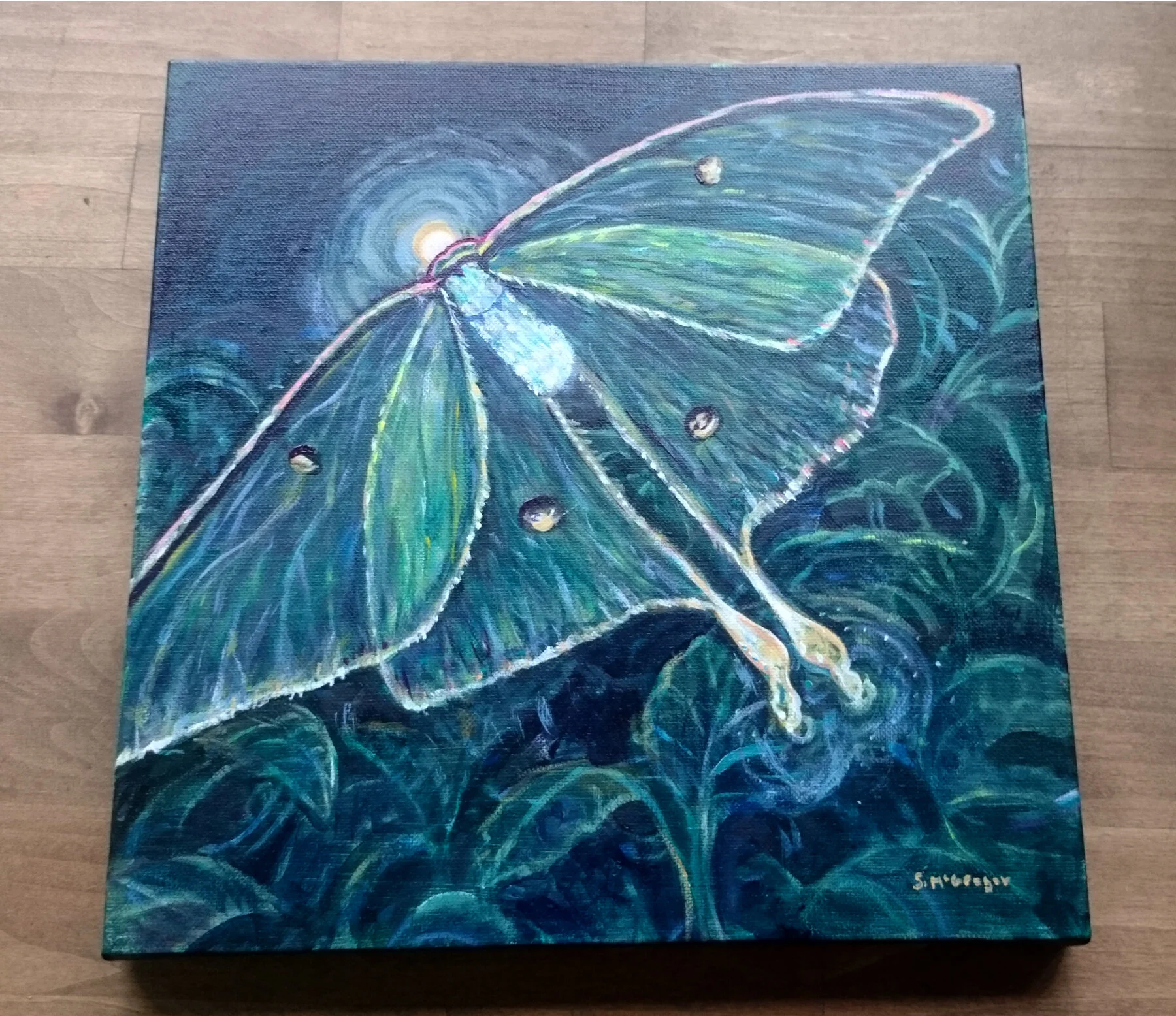 Luna Moth