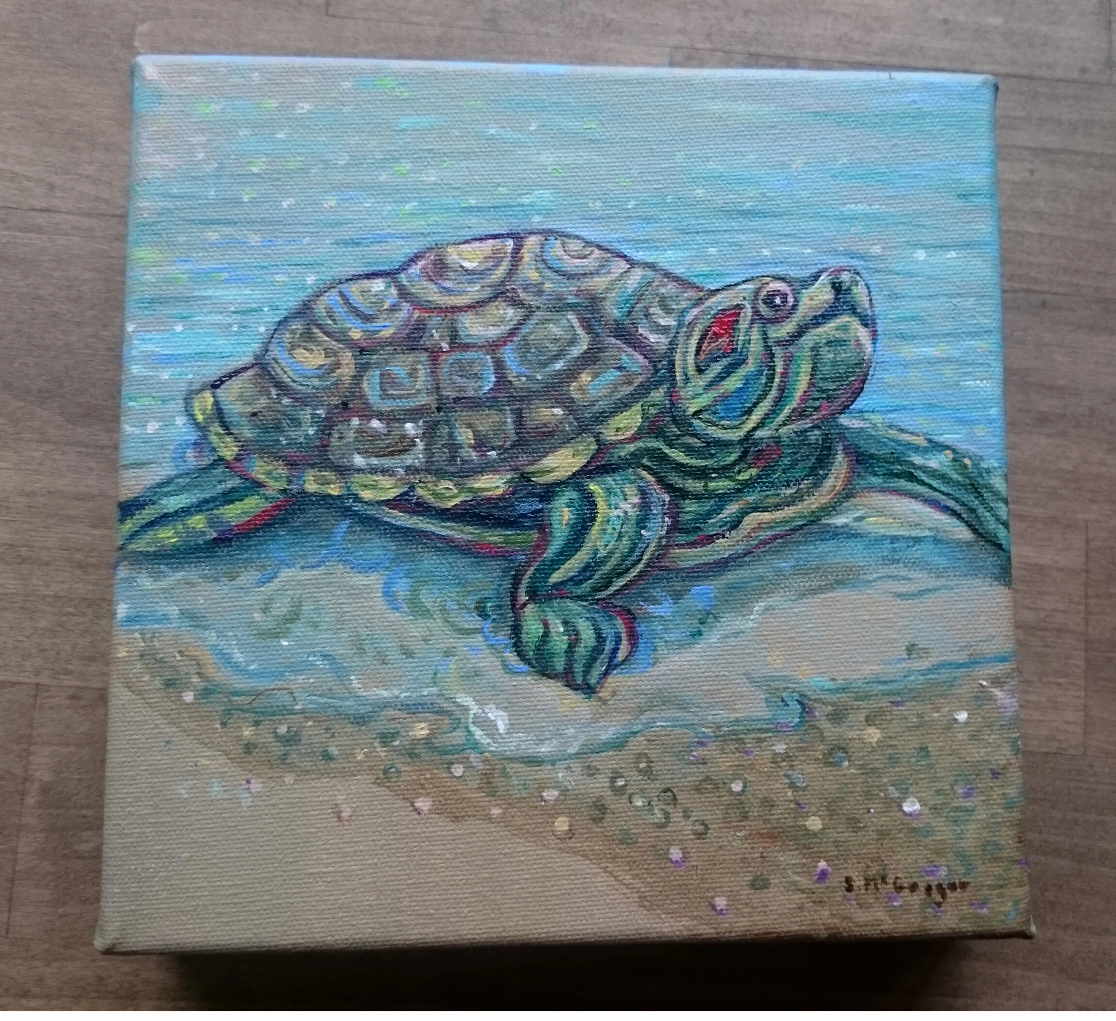 Redearedturtle2.jpg