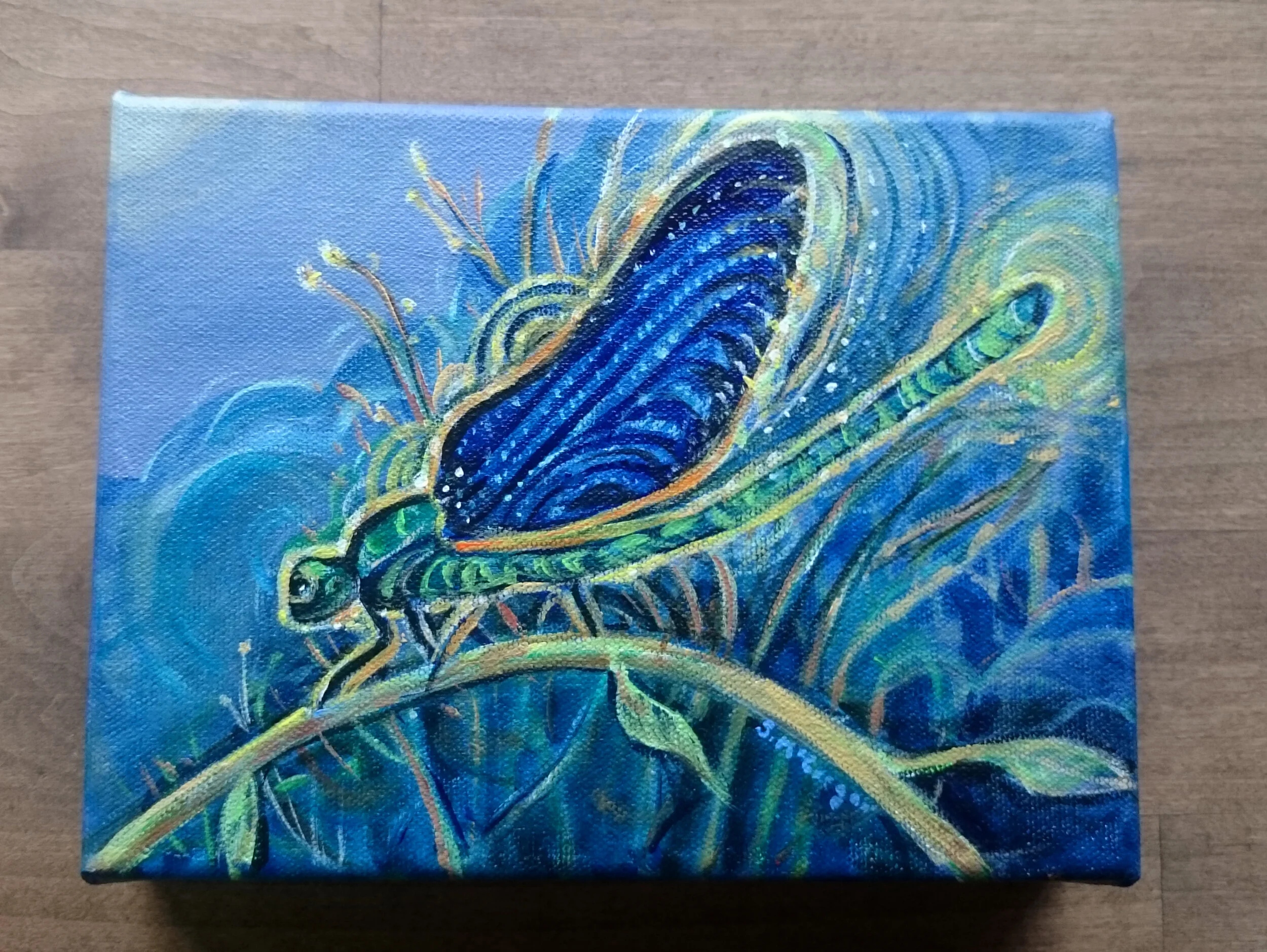 Dragonfly3.jpg