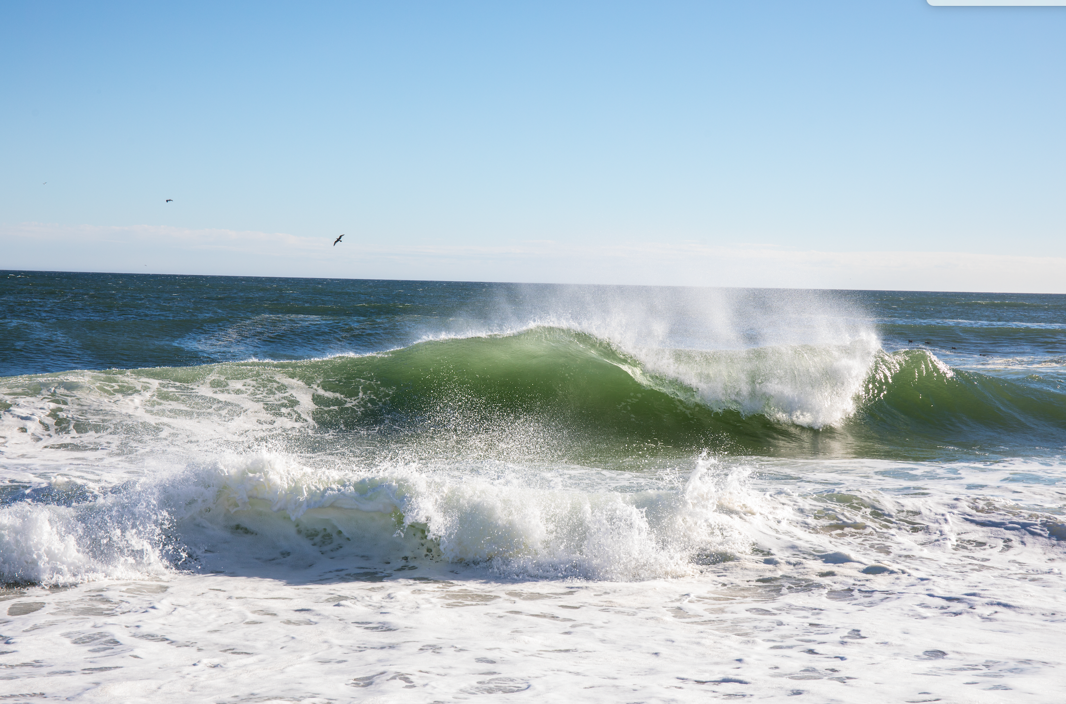 Nauset