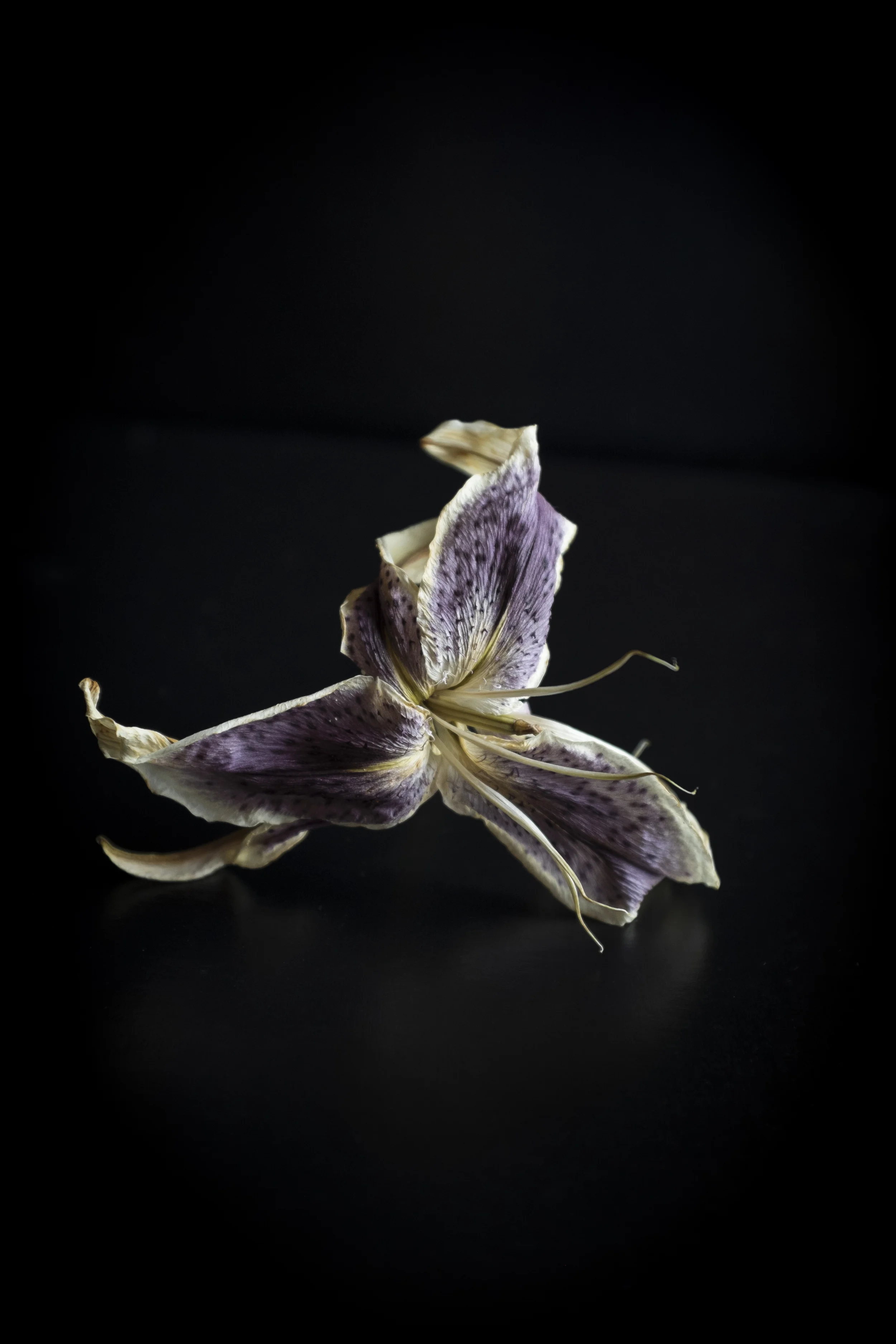 DSCF8819.jpg