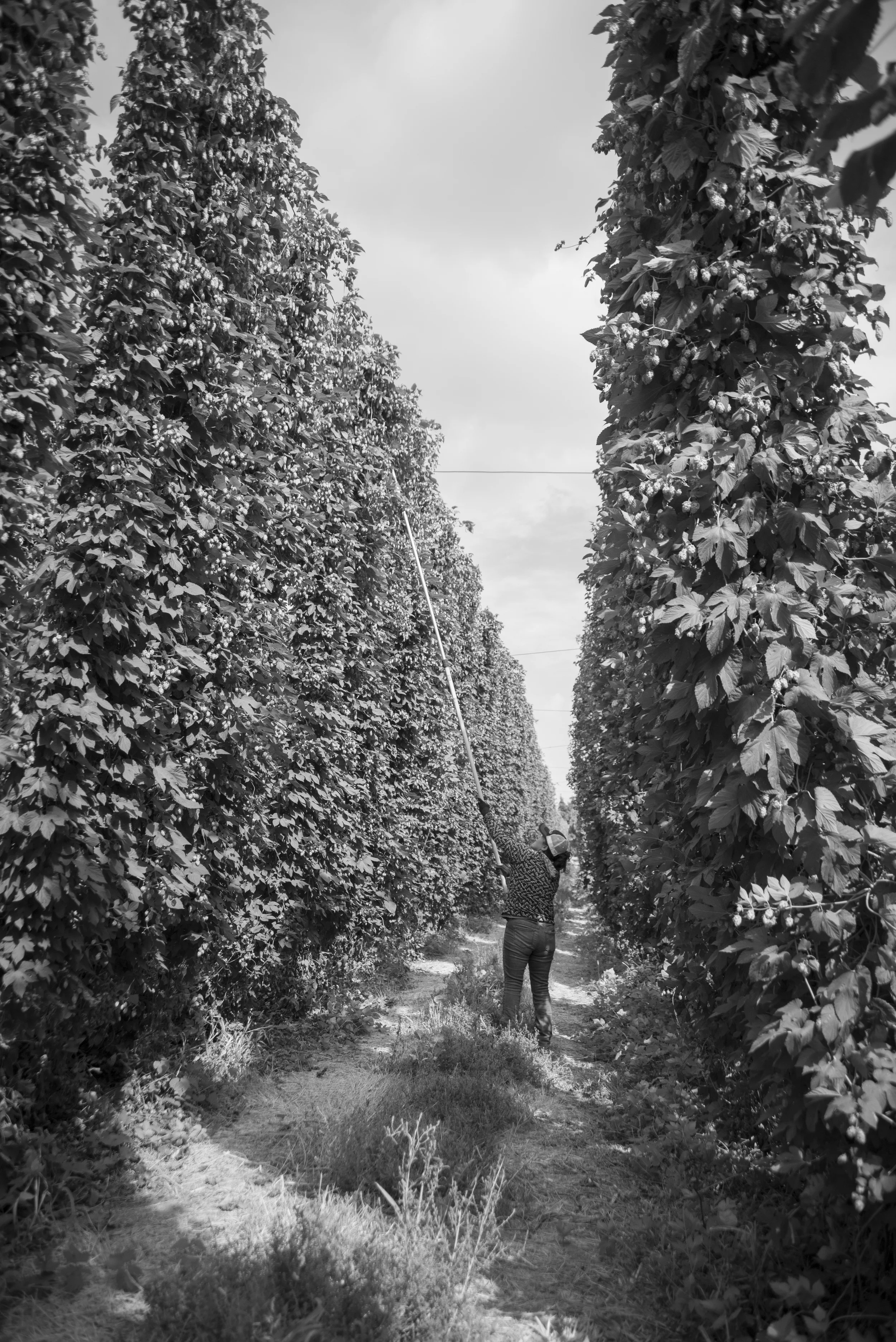 DSC_1604.jpg