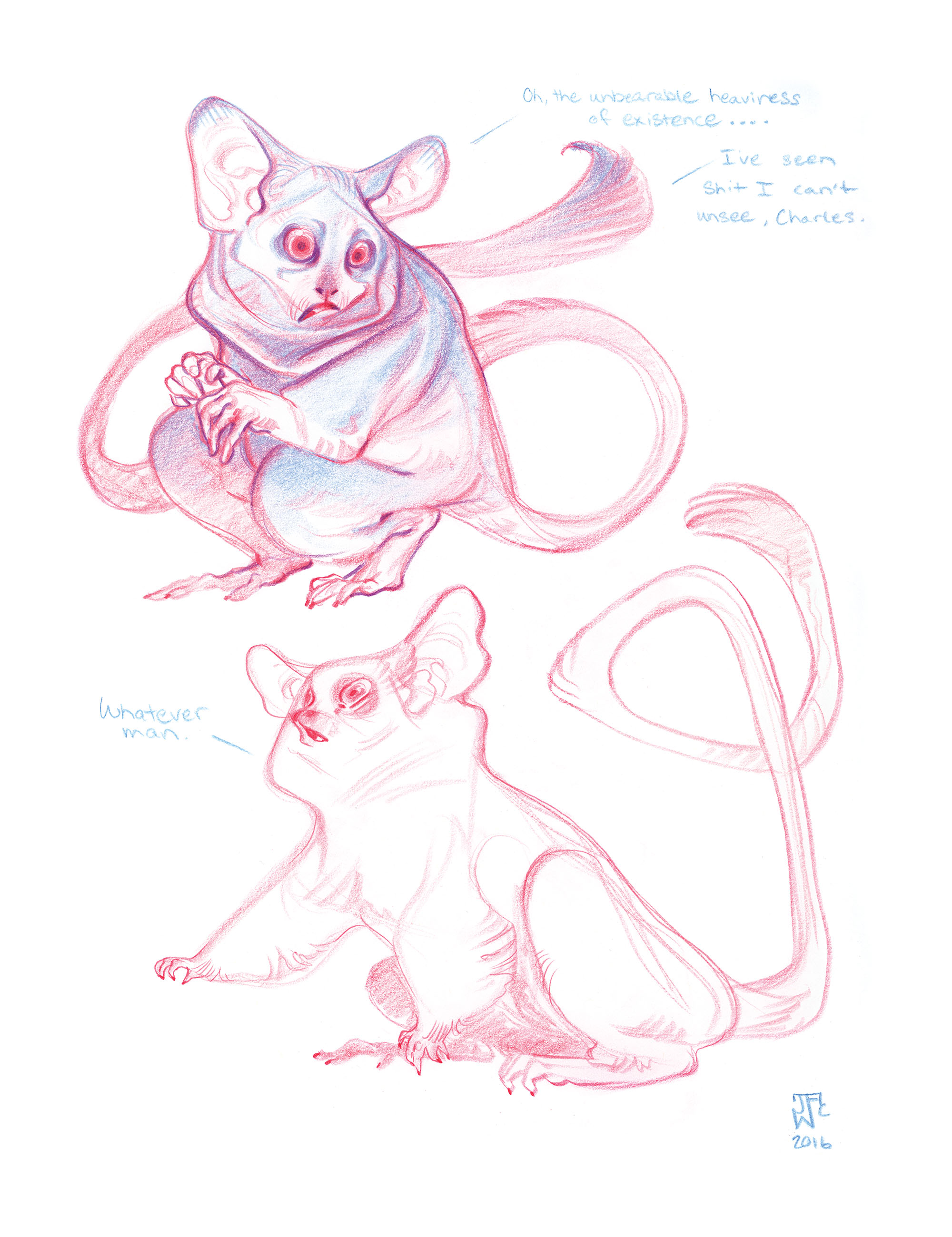 galagos_existential.crisis_jawcooper copy.jpg
