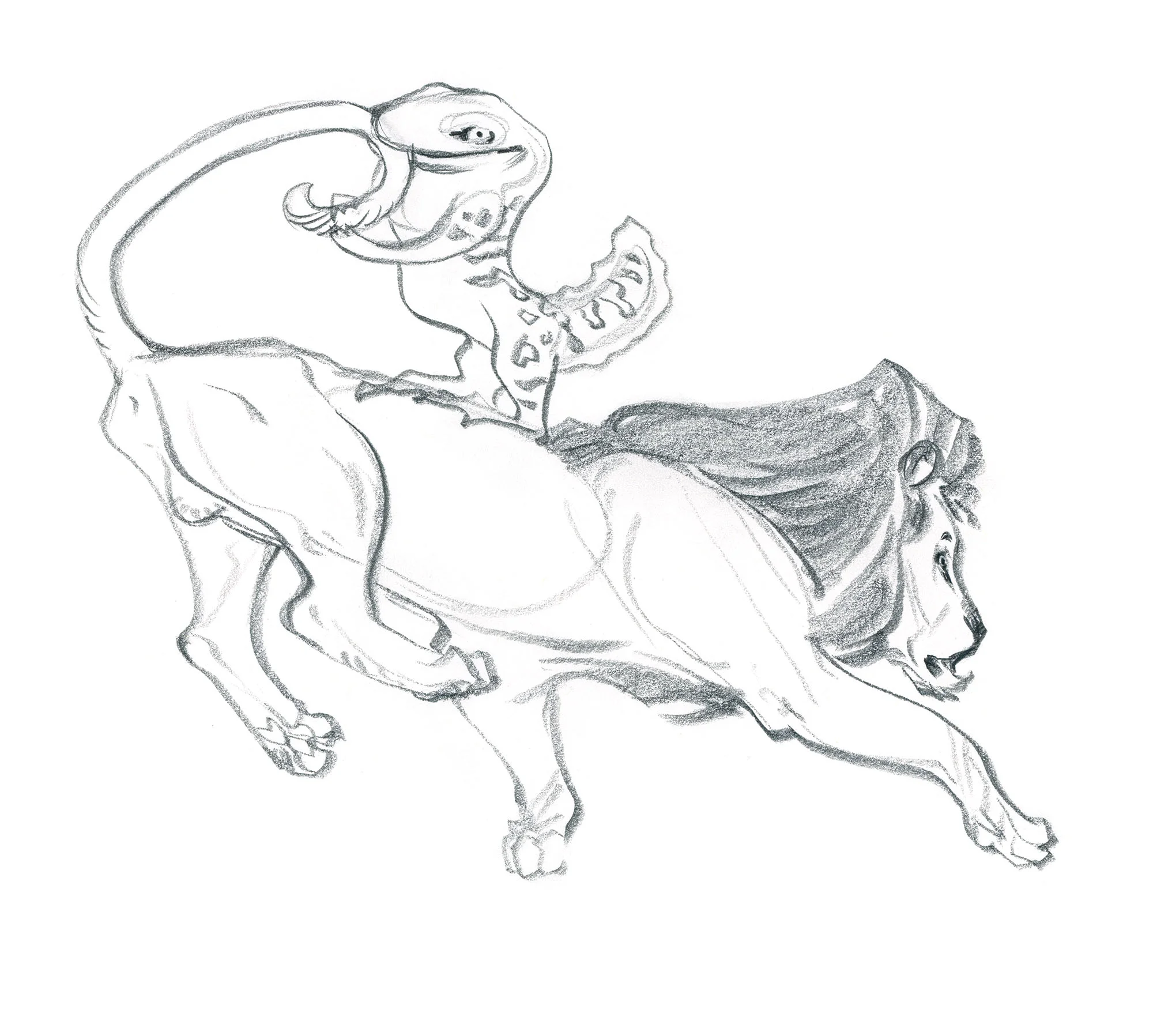 lionsalamander.sketch_JAWCooper copy.jpg