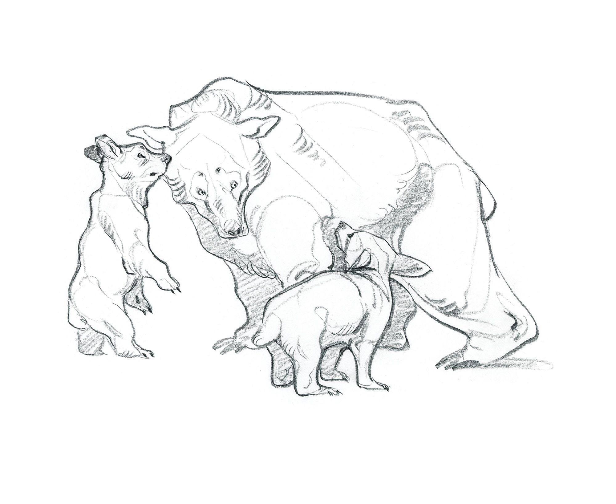 littlebears.sketch_JAWCooper copy.jpg
