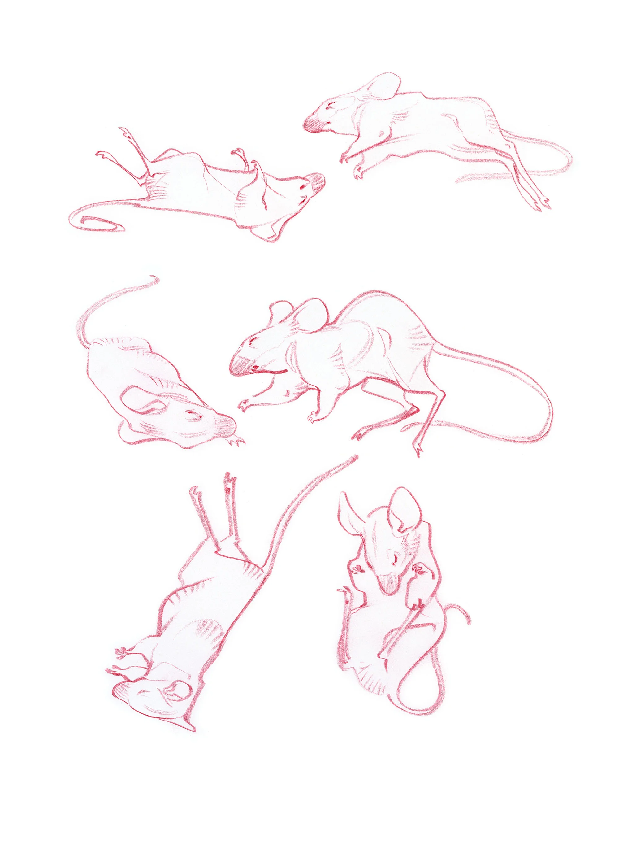 JAWCooper_deadmouseprince copy.jpg