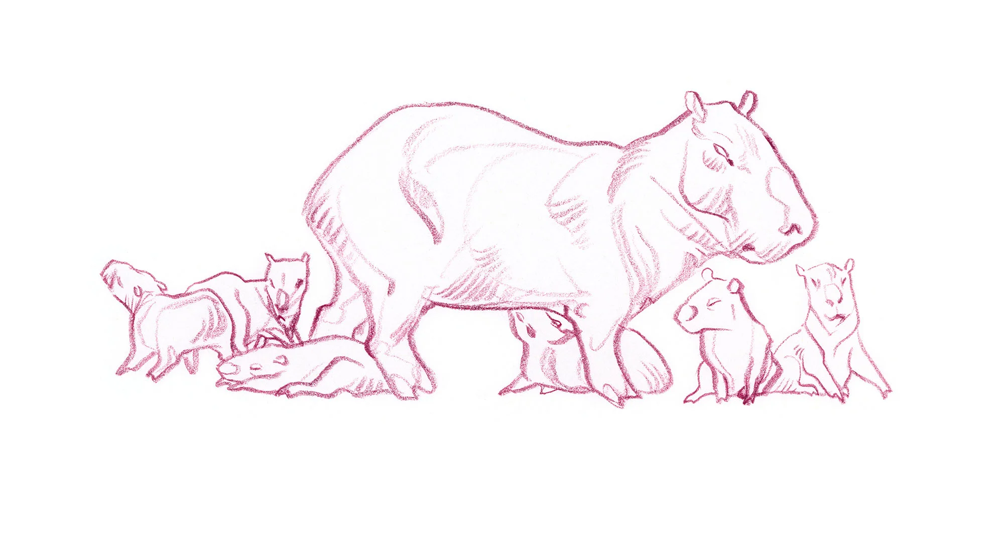 JAWCooper_capybarafam copy.jpg