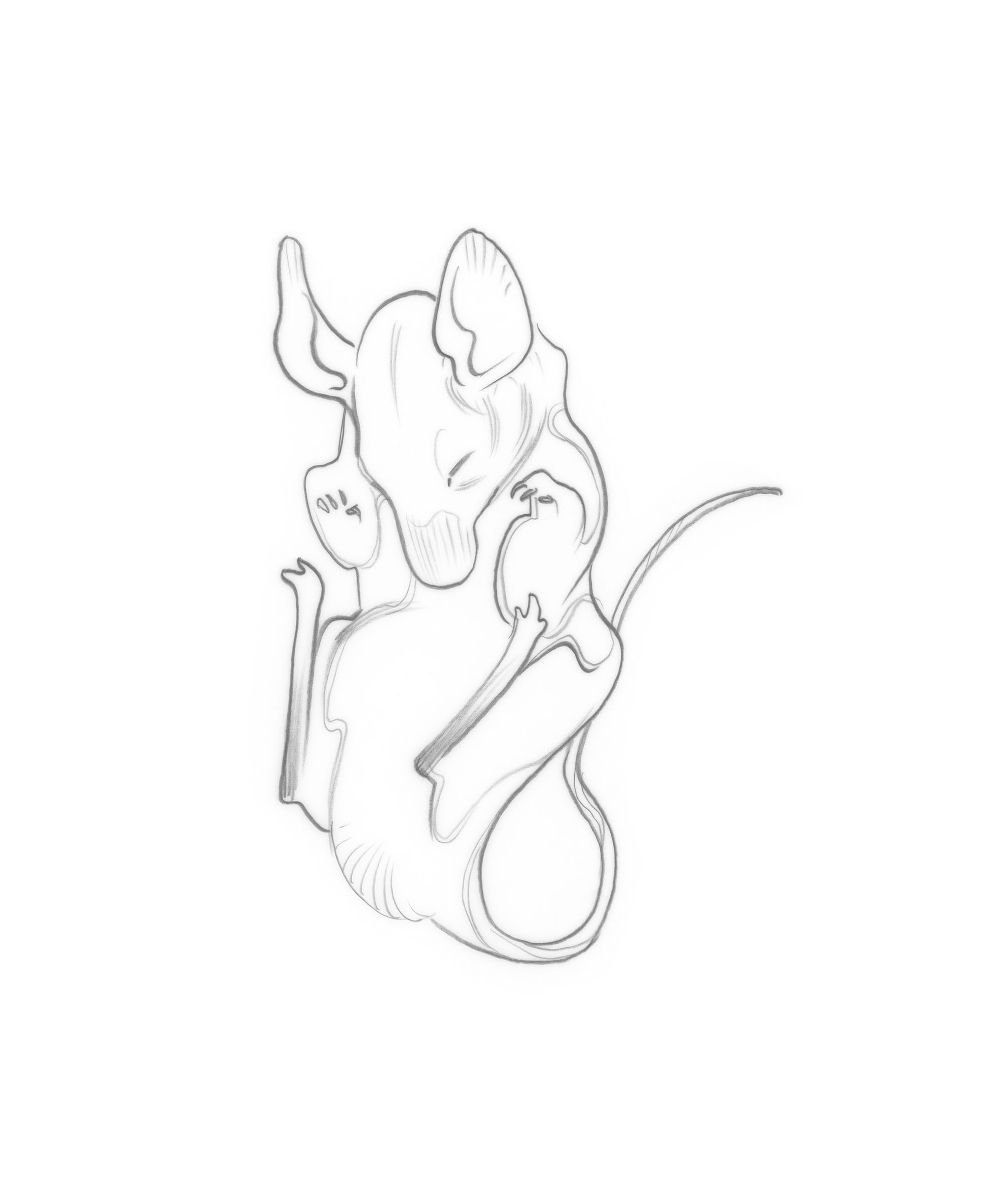 vignettebackcover_sleepingmouse_JAWCooper copy.jpg