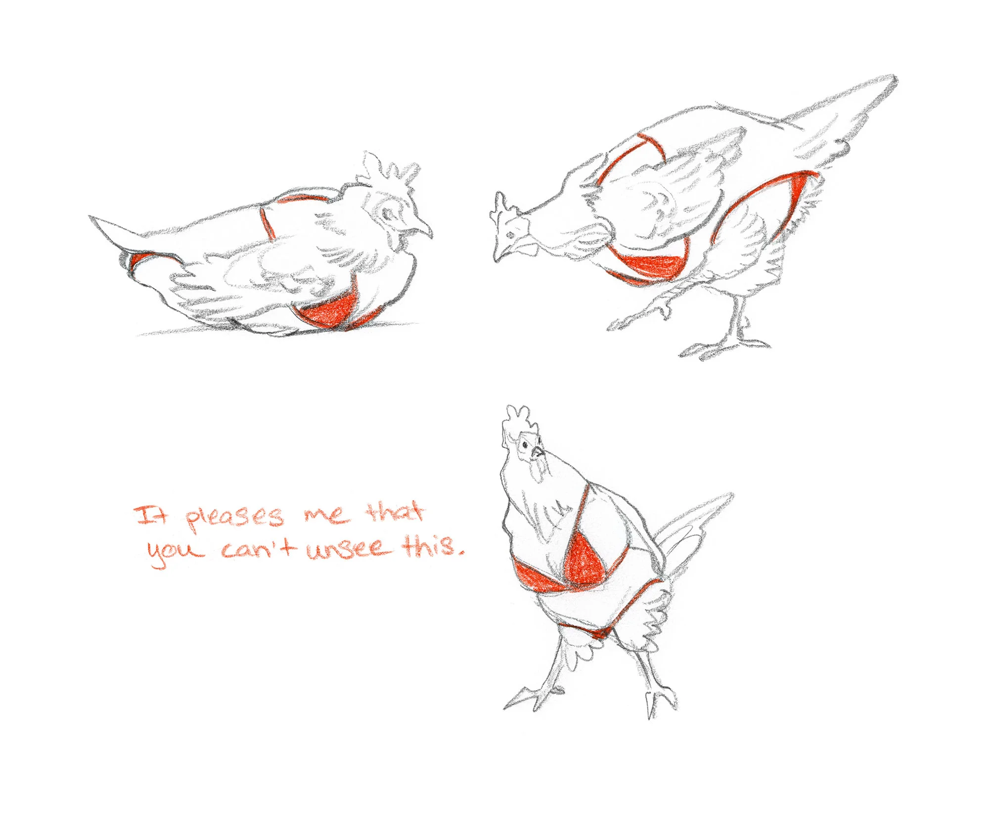JAWCooper_shittychickens copy.jpg