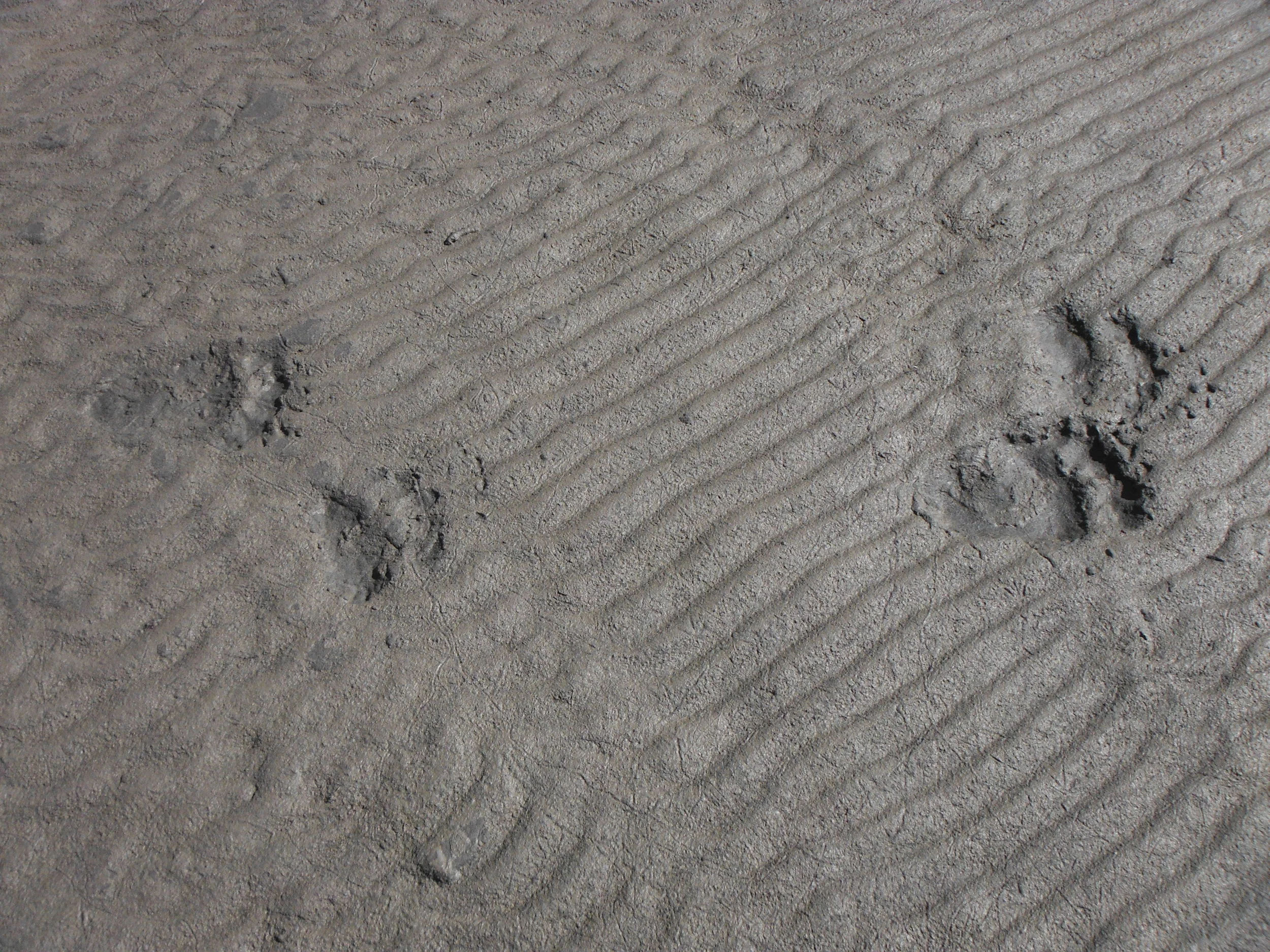 DSCF1472.JPG