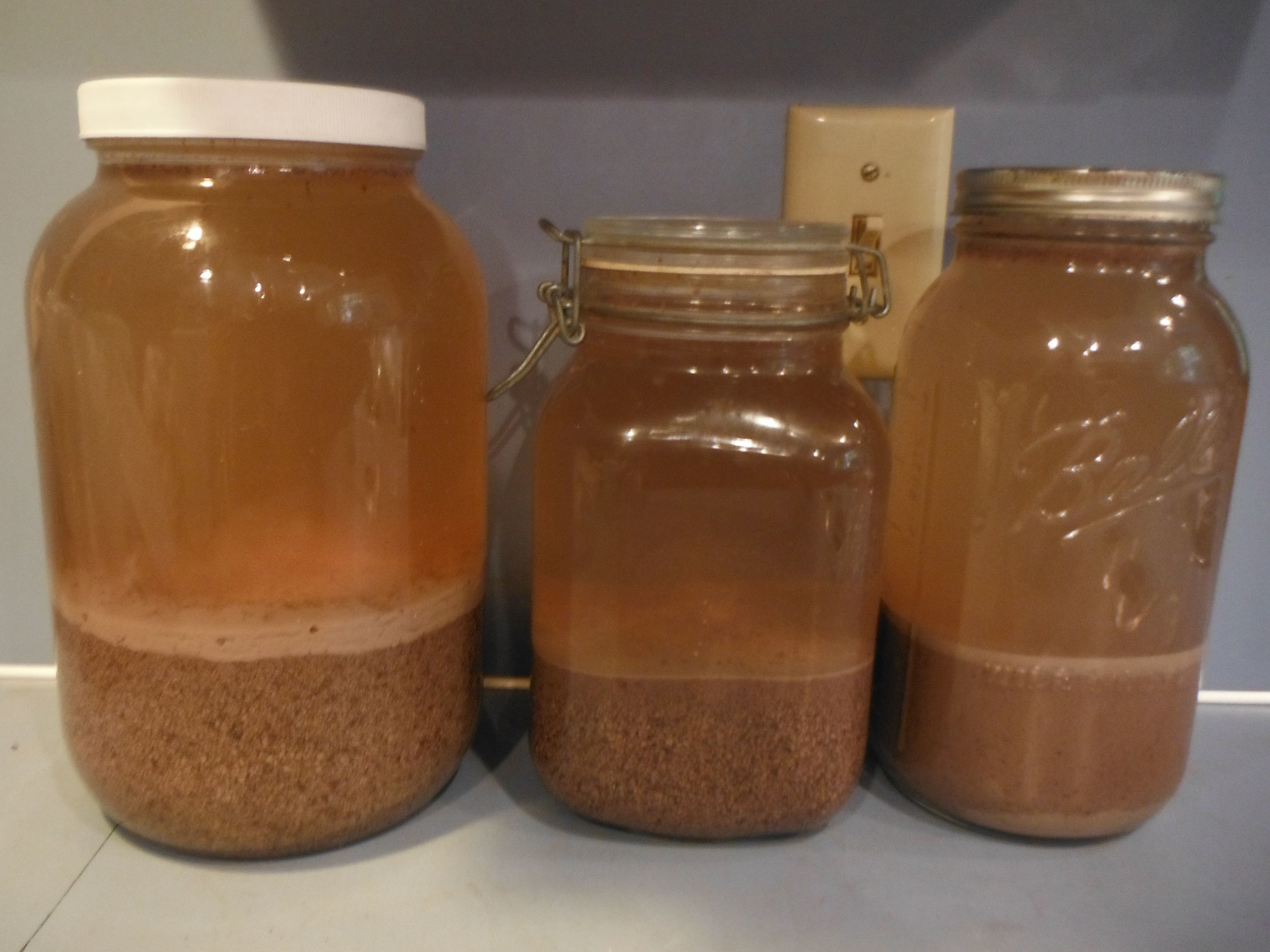 Acorn Flour leaching