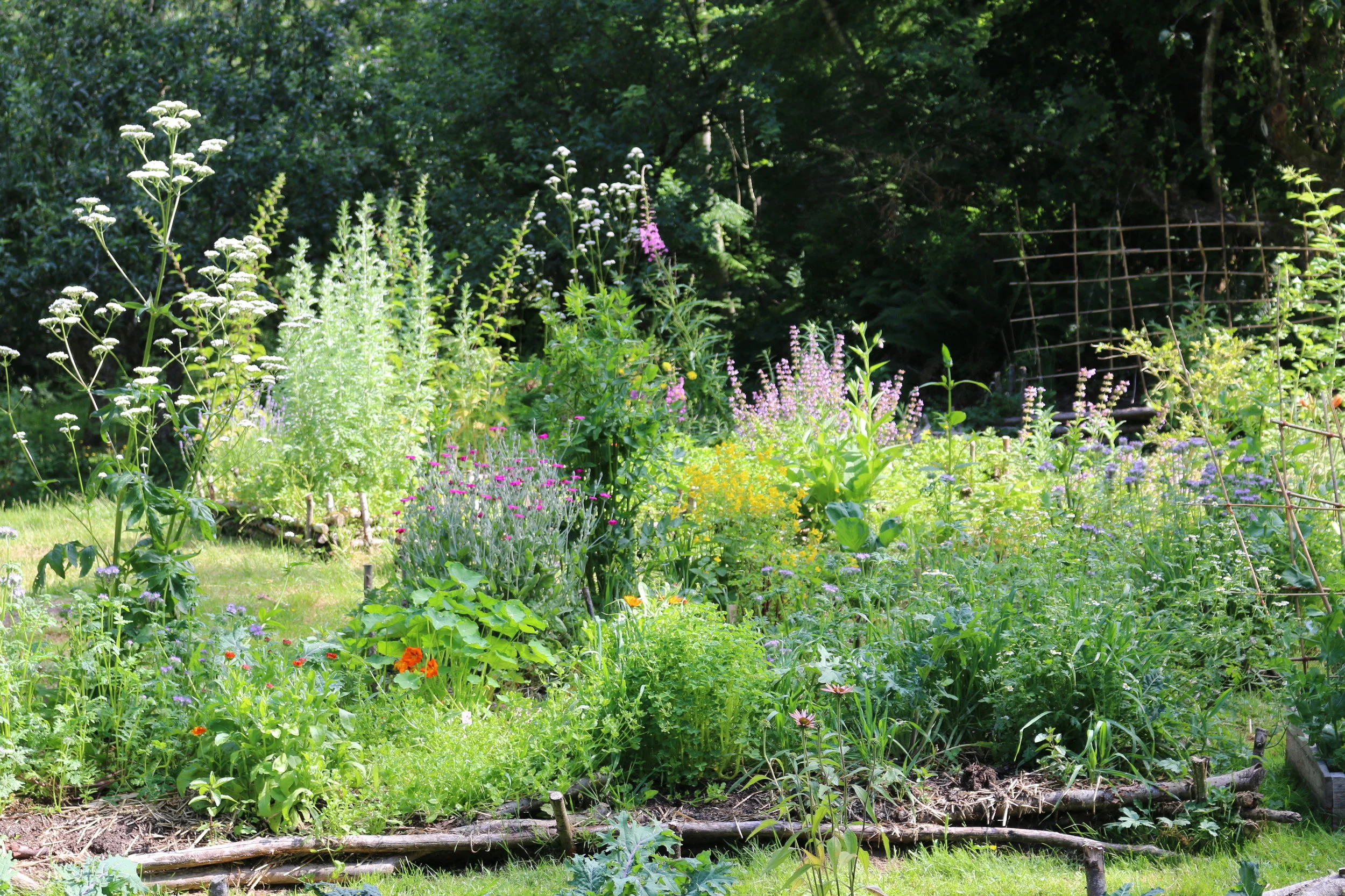 Weekend #1: Introduction to Permaculture and Natural Medicine Making