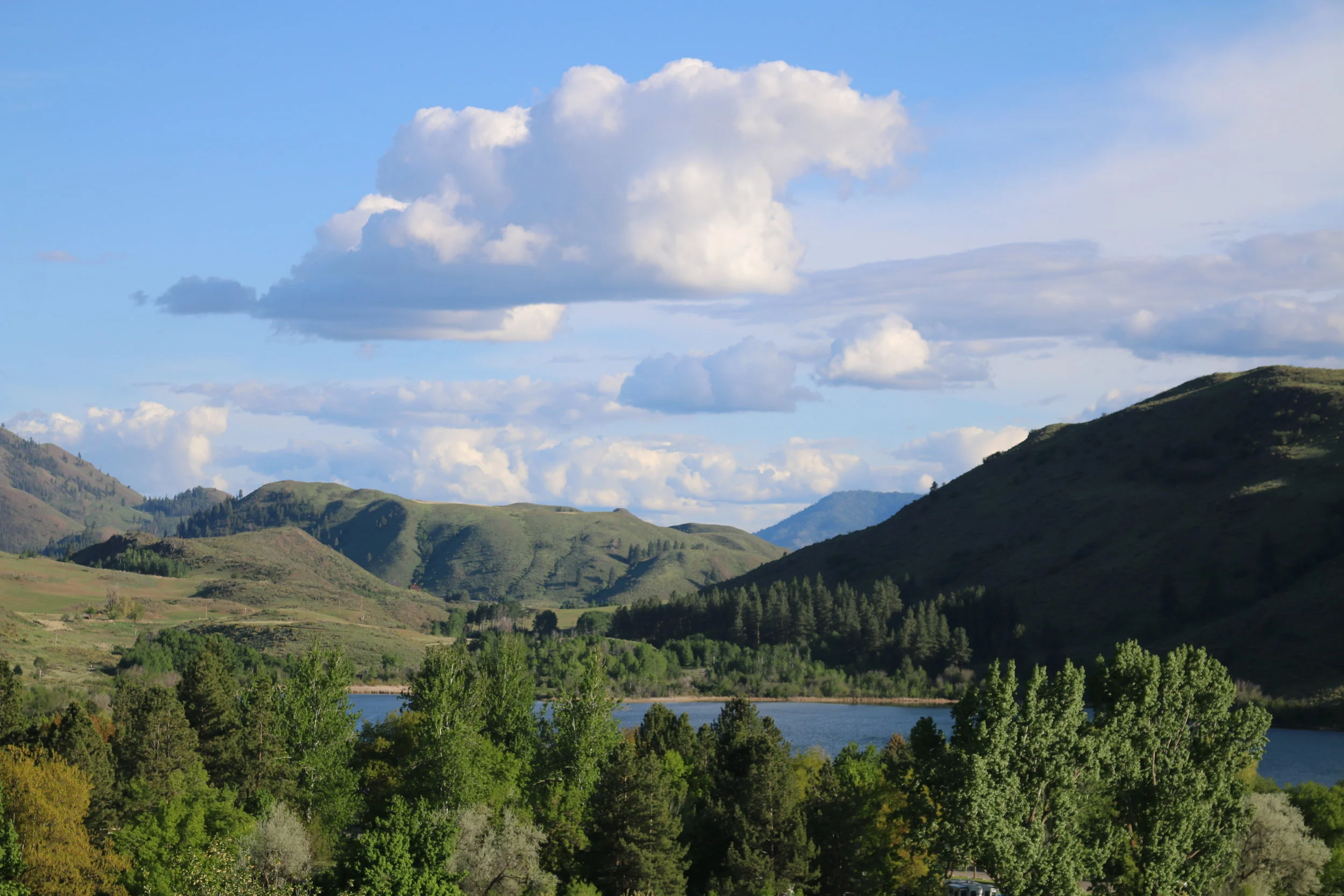 Weekend #7: The Ecologies of Eastern Washington