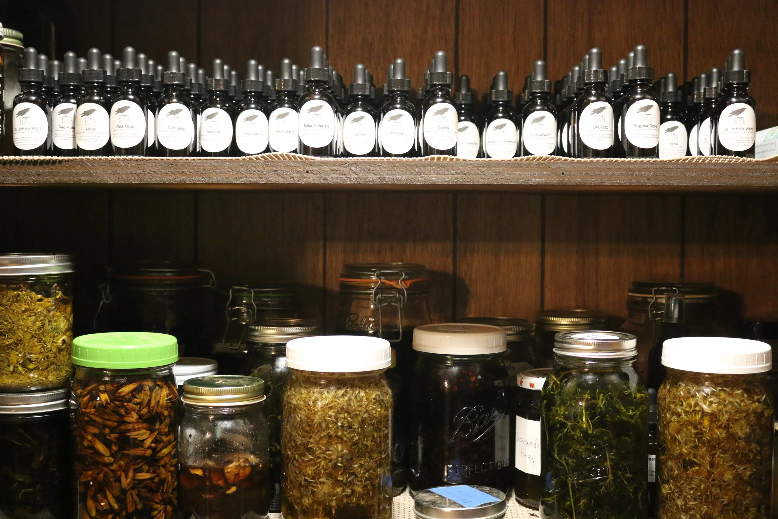 Weekend #1: Introduction to Permaculture and Natural Medicine Making