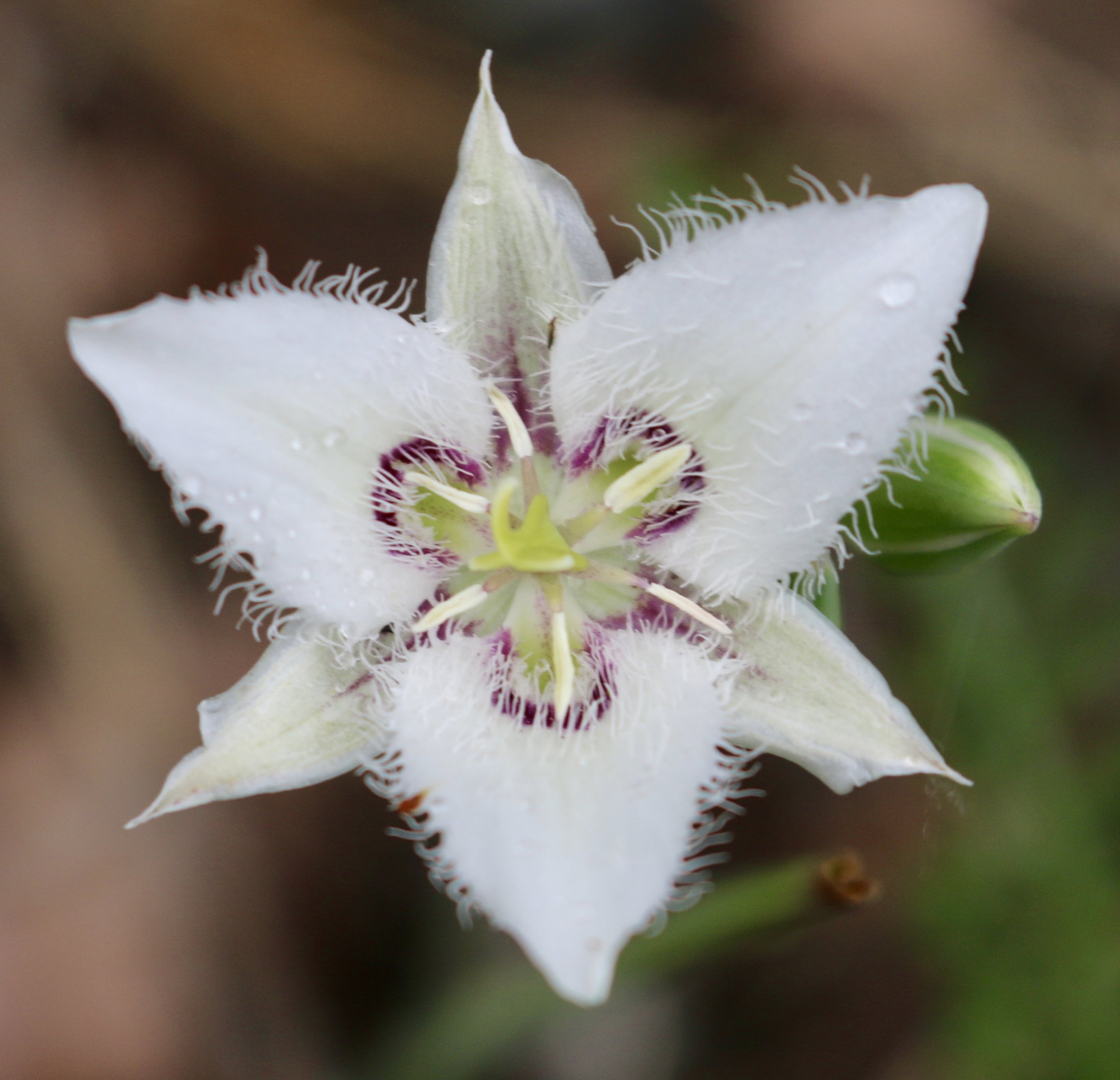 Weekend #3: Eastern Washington