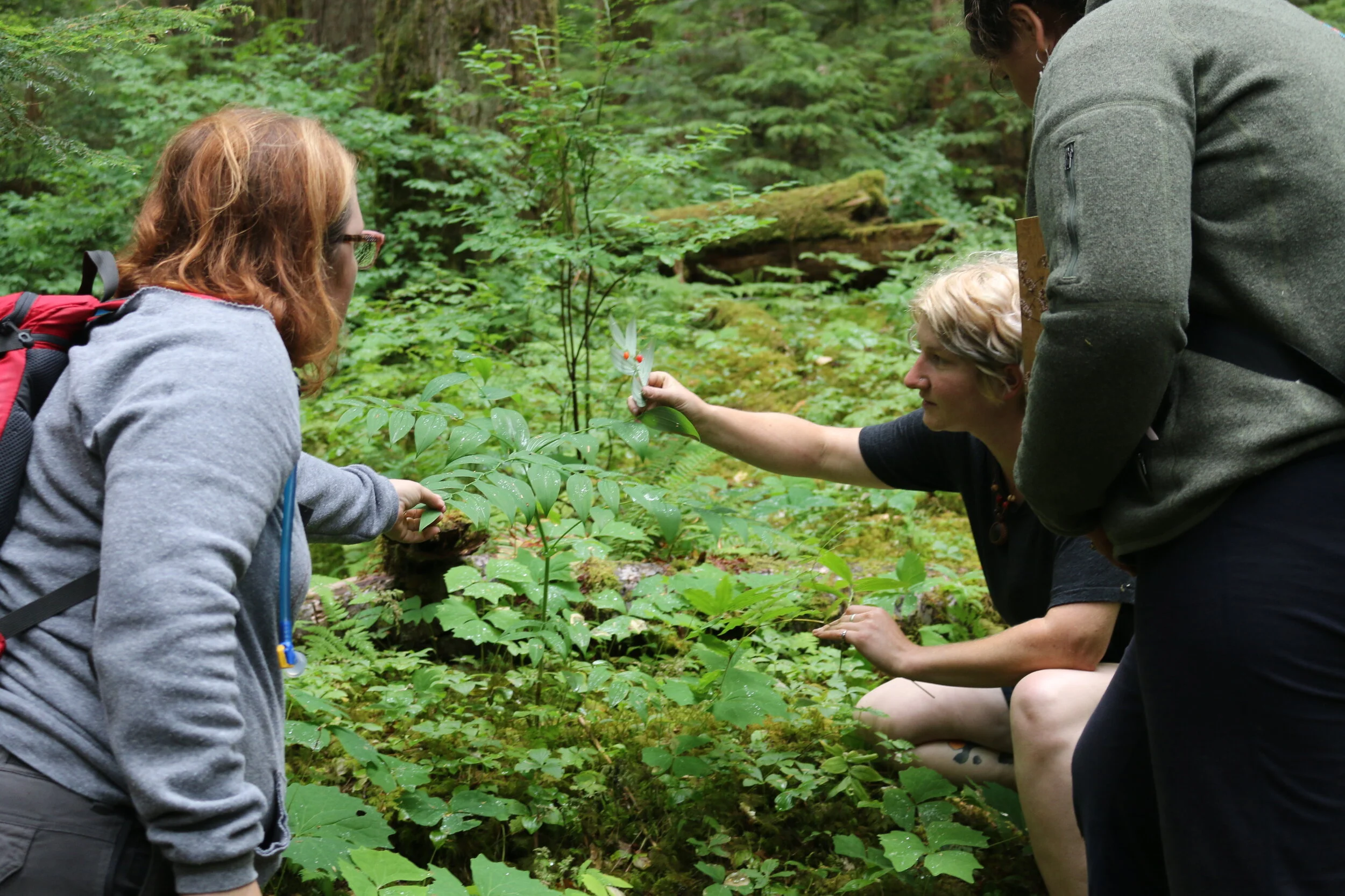 Weekend #5: Olympic Peninsula