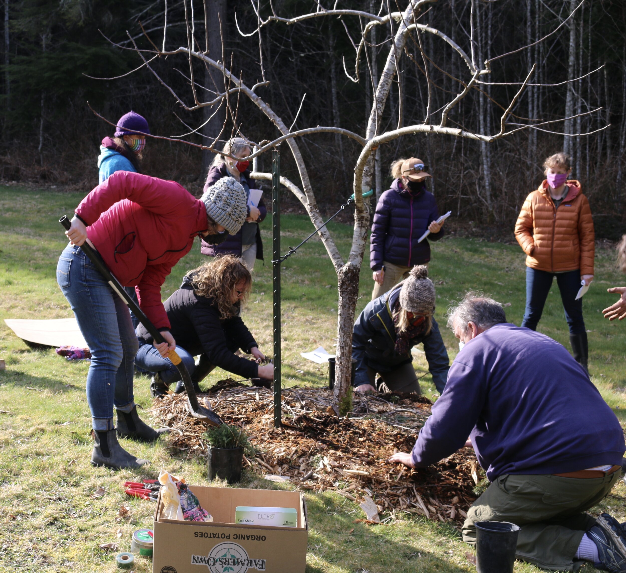 Weekend #1: Introduction to Permaculture and Natural Medicine Making