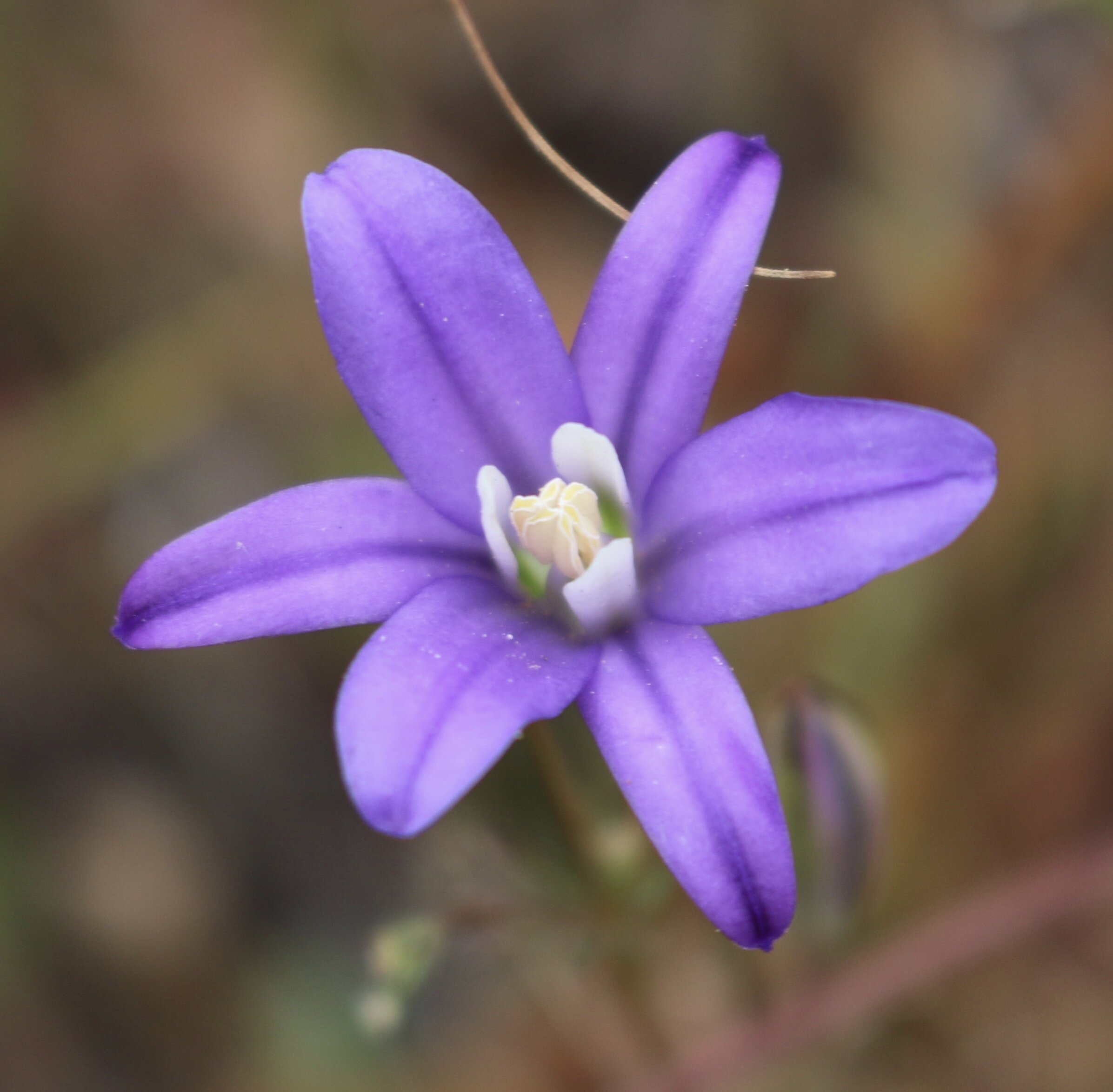 Weekend #4: Southwestern Washington