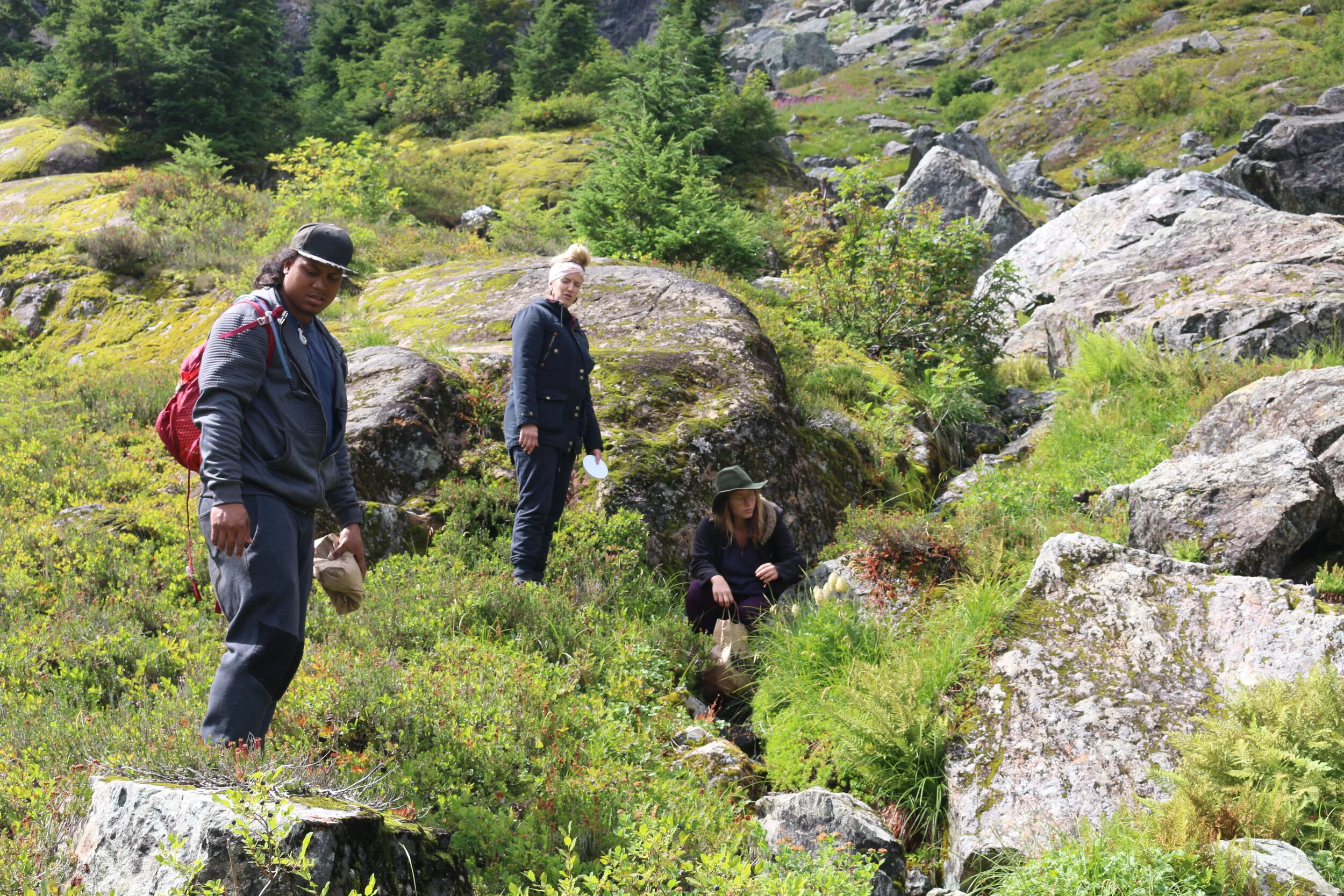 Weekend #6: Mount Baker Area