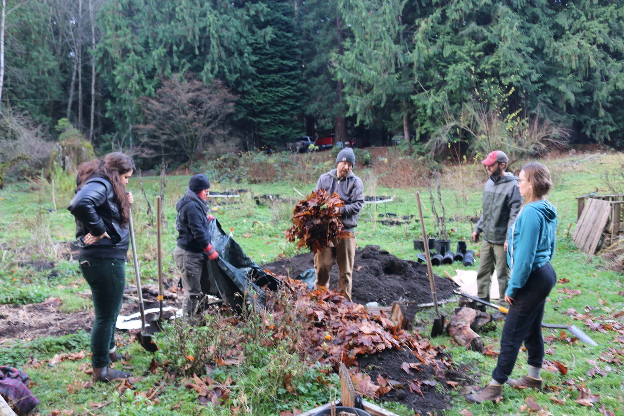Weekend #7: Soil Biology, Composting, Compost Teas, Mushroom Medicines and Cultivation