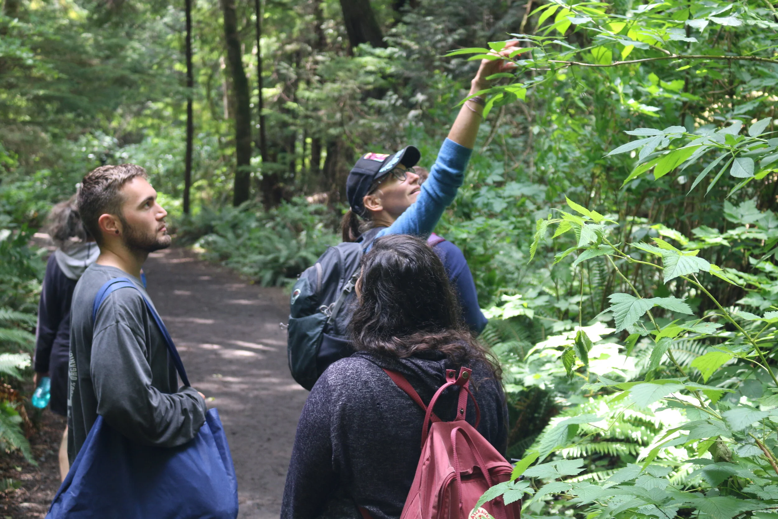 Weekend #5:  Olympic National Park/Forest near Port Angeles 
