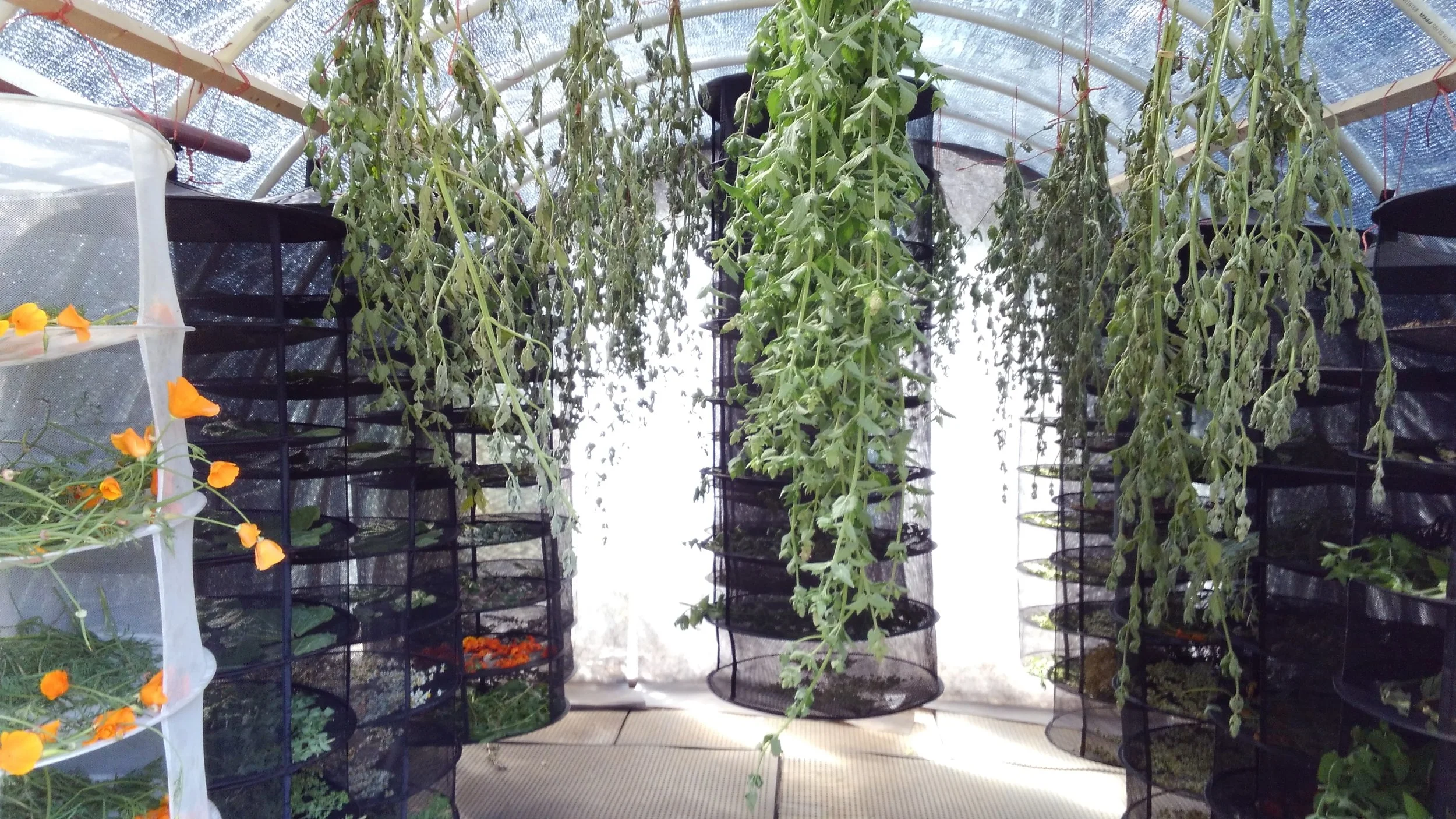 Class # 3 Passive Solar Drying and Solar Infusions